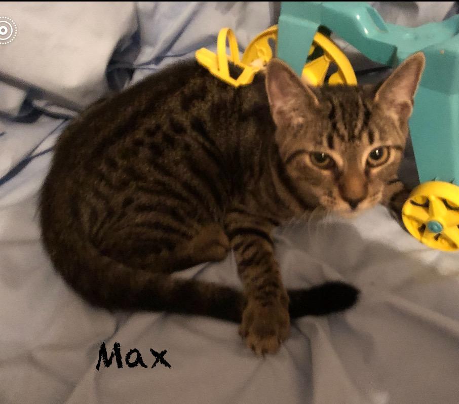Max