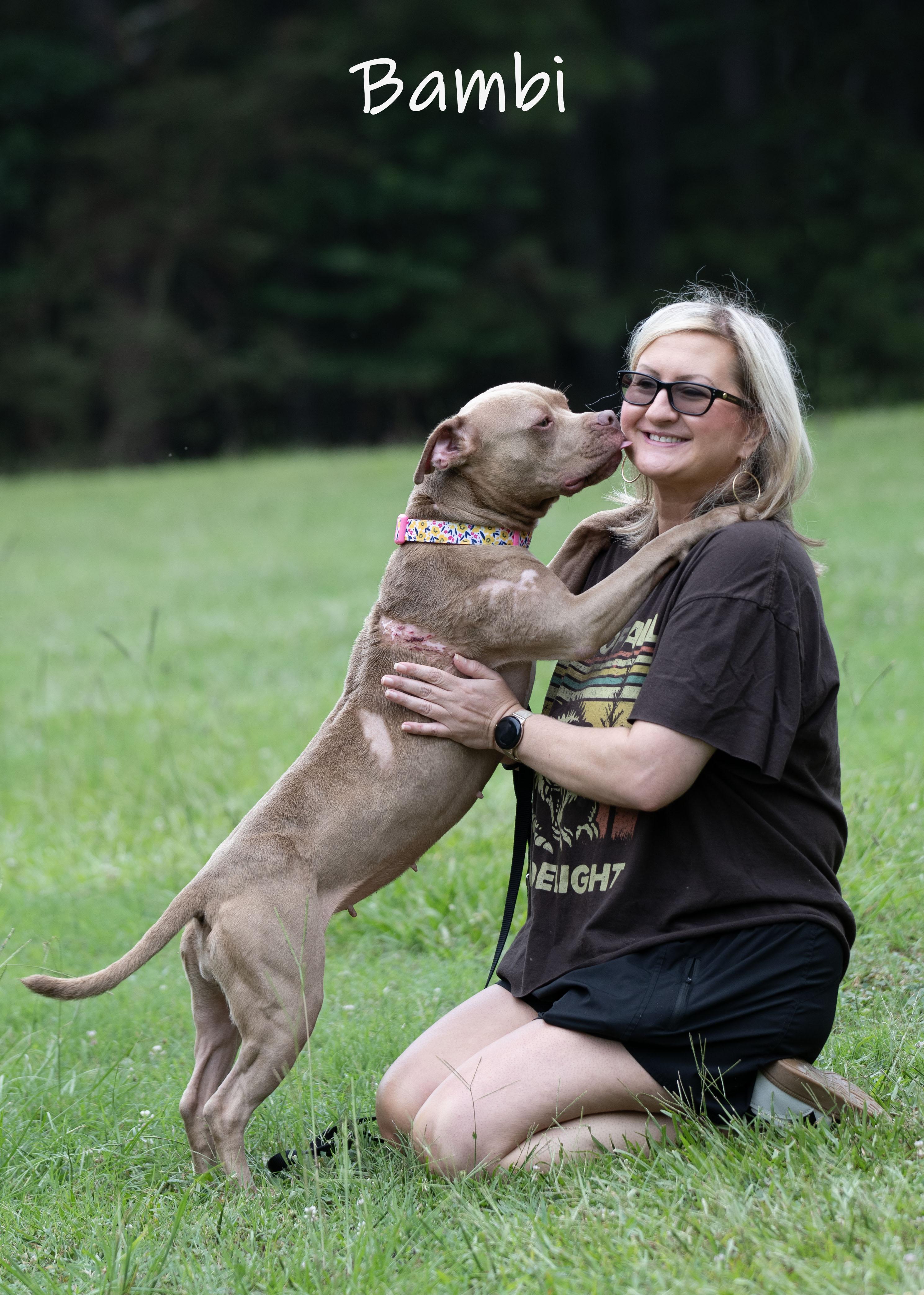 Bambi, an adoptable mixed breed in Bishop, GA image 5/6