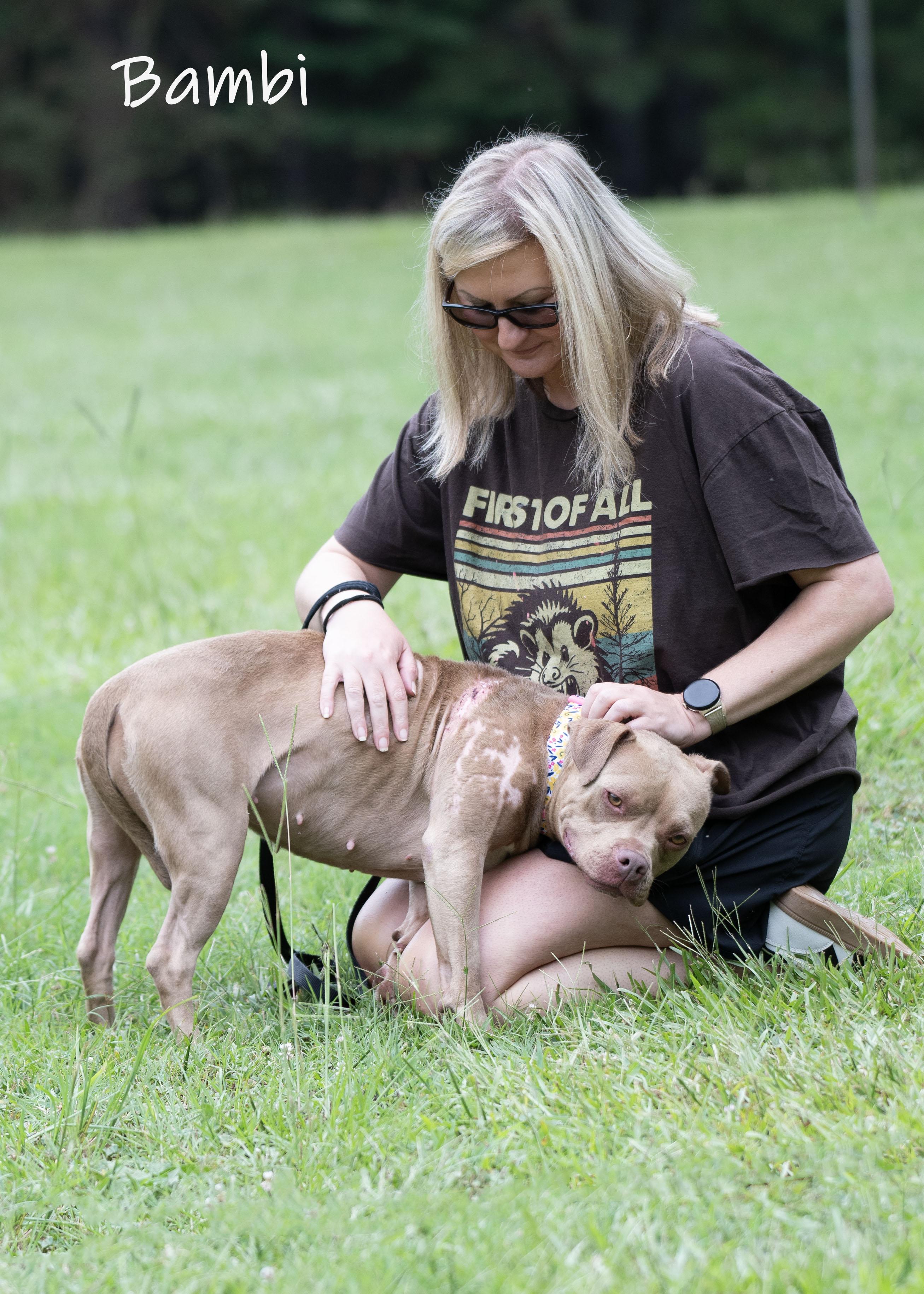 Bambi, an adoptable mixed breed in Bishop, GA image 6/6