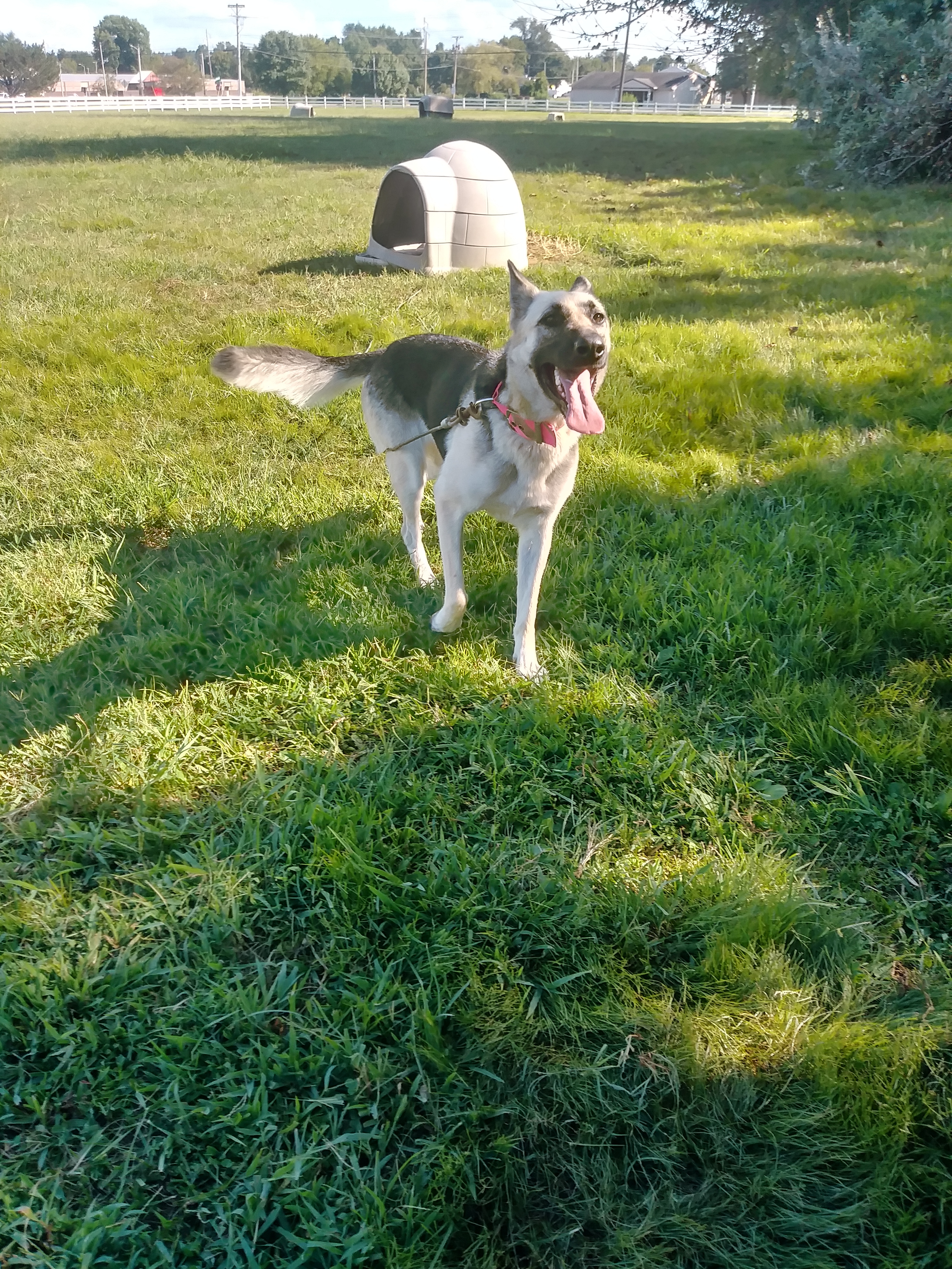 ANNIE photo 3