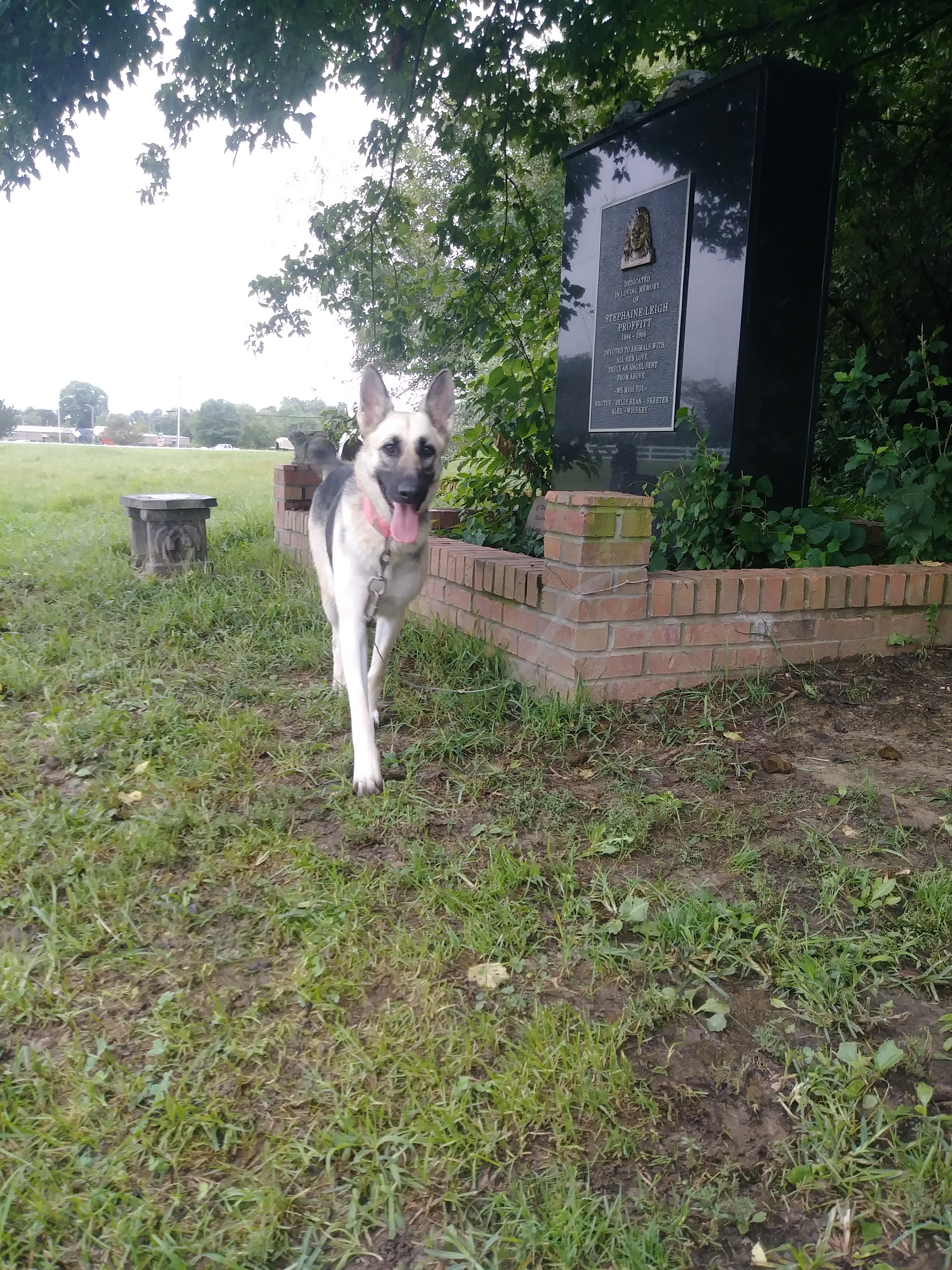 ANNIE photo 4