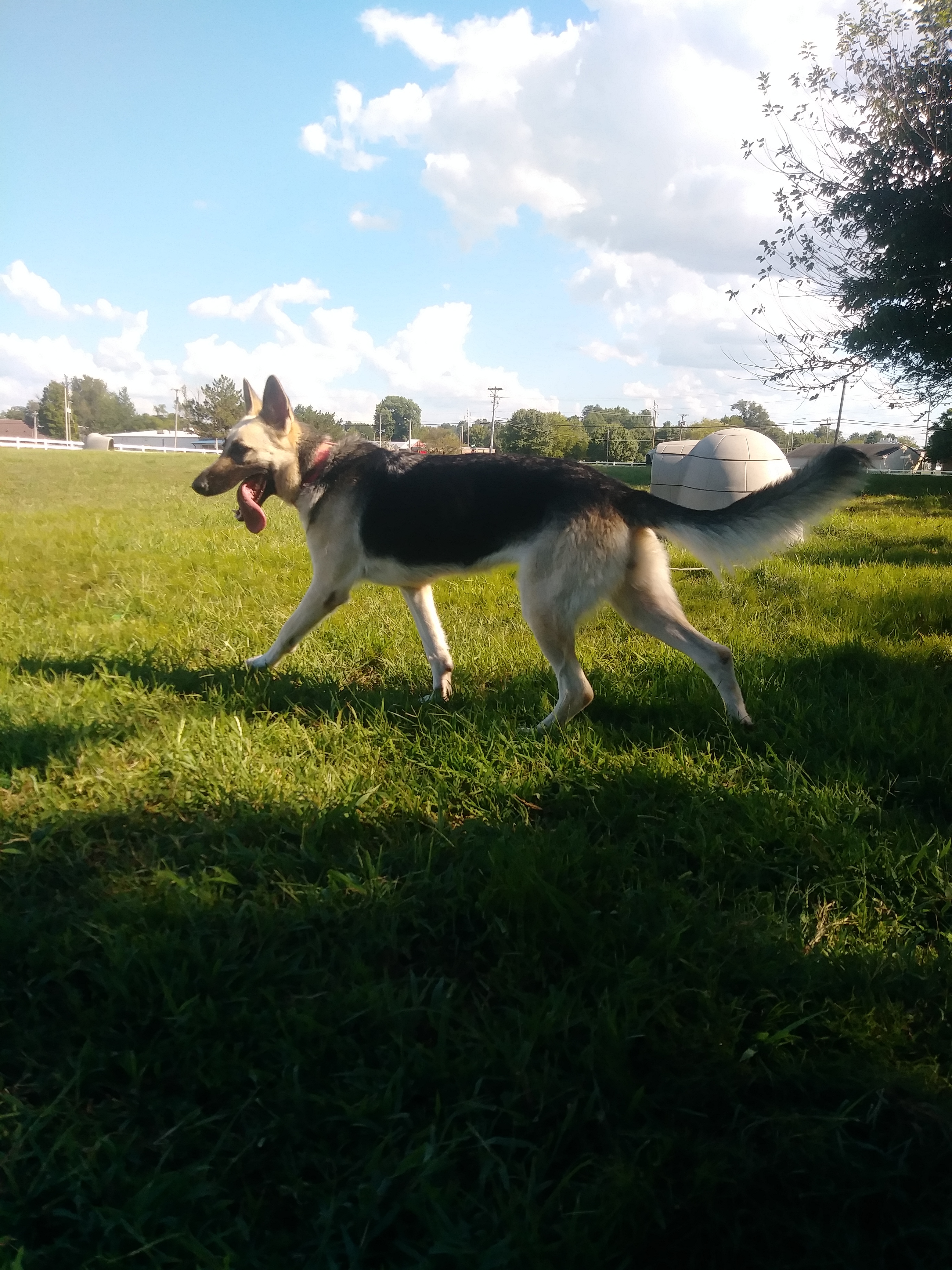 ANNIE photo 5