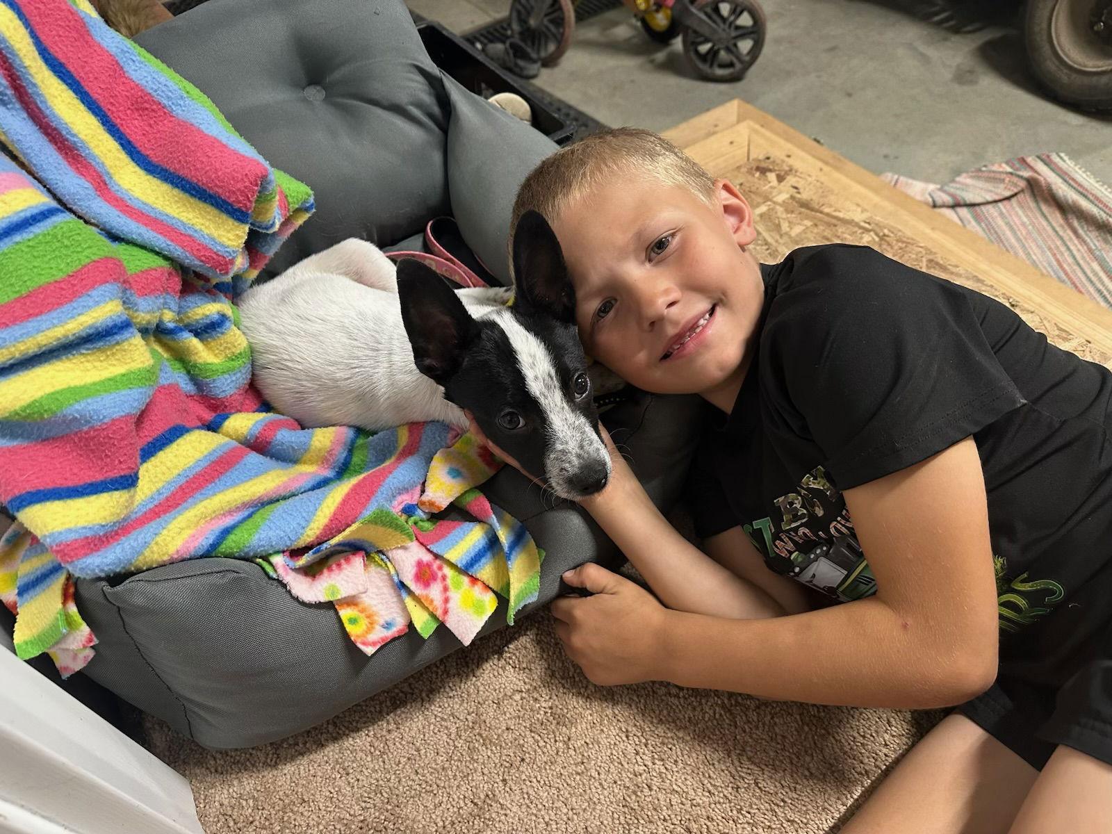 Enlarge Lovelace(now Coda) -The Happy Feet Litter, a Adopted mixed breed in Mattoon, IL image 1/3