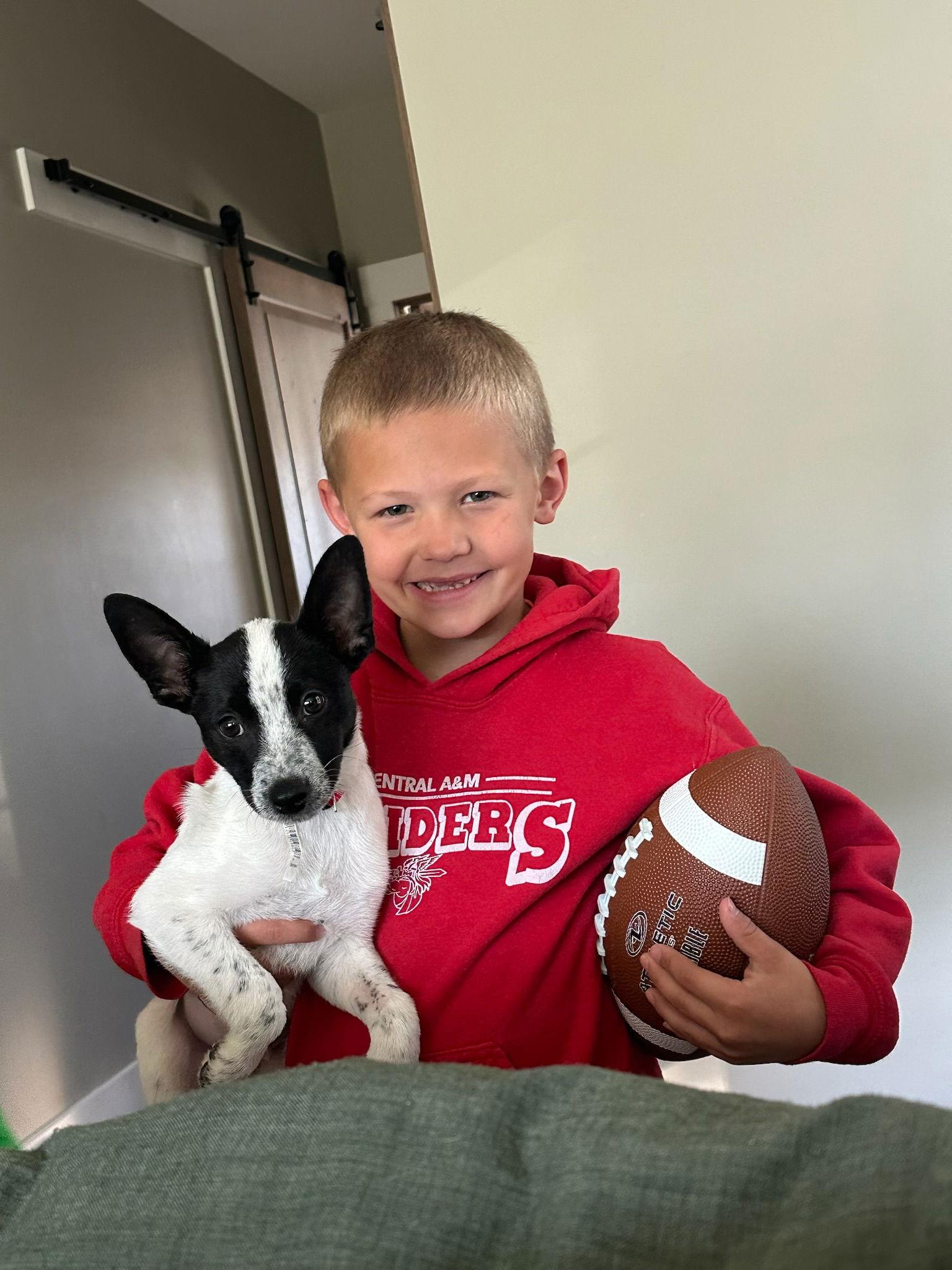 Enlarge Lovelace(now Coda) -The Happy Feet Litter, a Adopted mixed breed in Mattoon, IL image 3/3