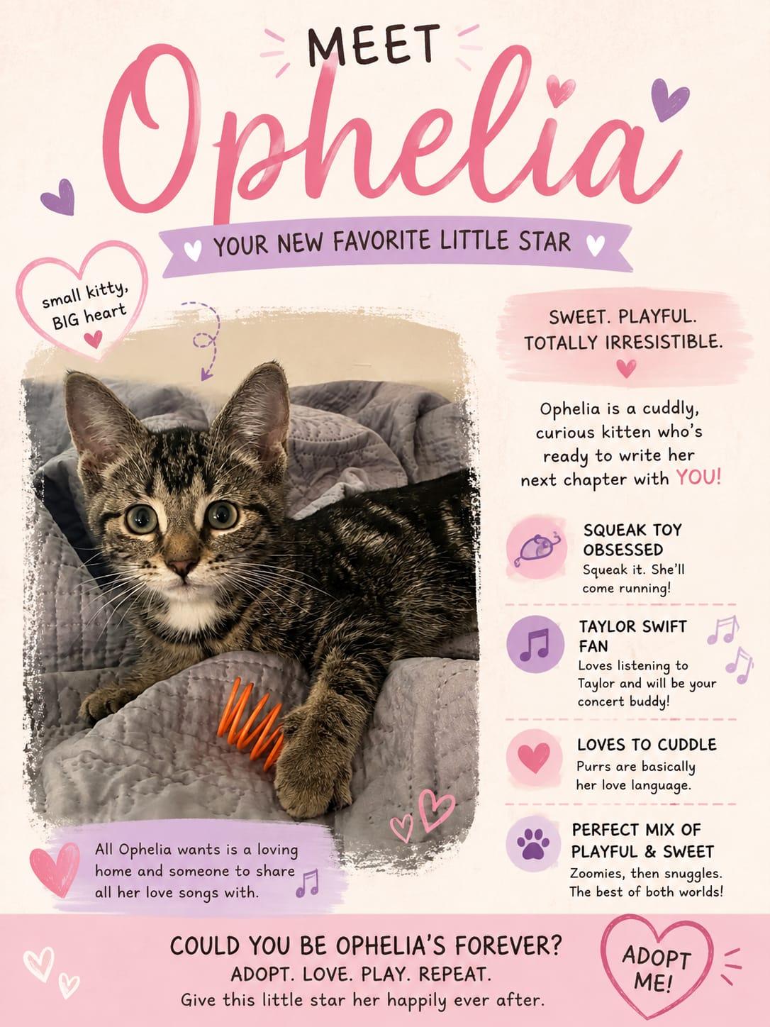 Enlarge Ophelia, a ADOPTABLE Domestic Short Hair in Cambridge, ON image 3/4