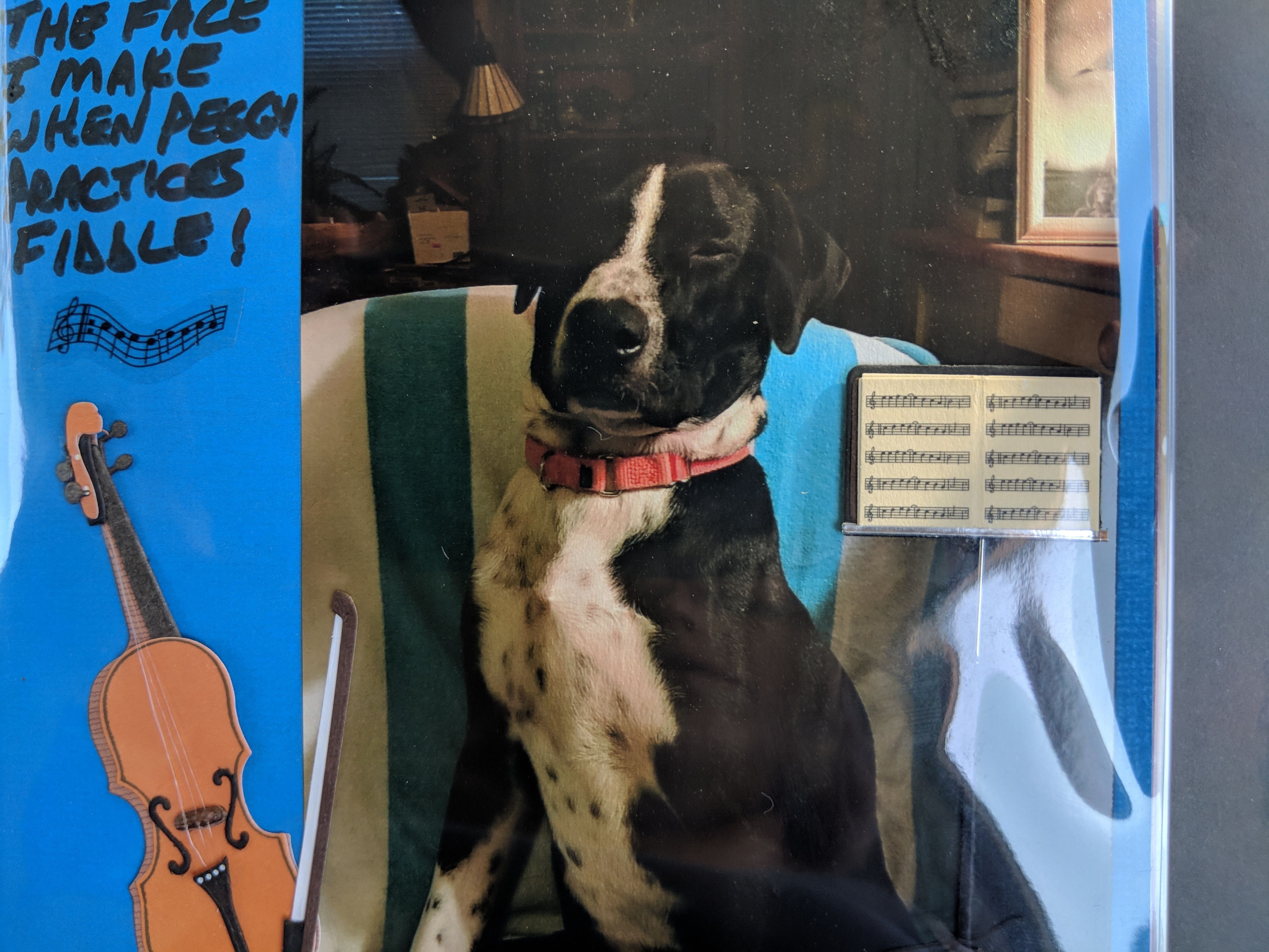 Buddy photo 2