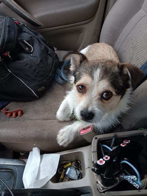 Charlie