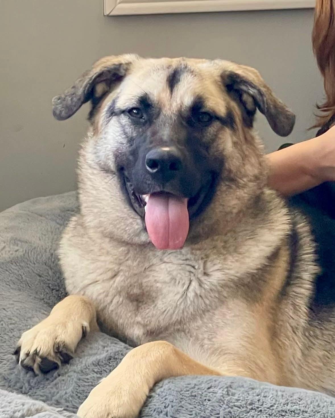 Karma — thumbnail 2