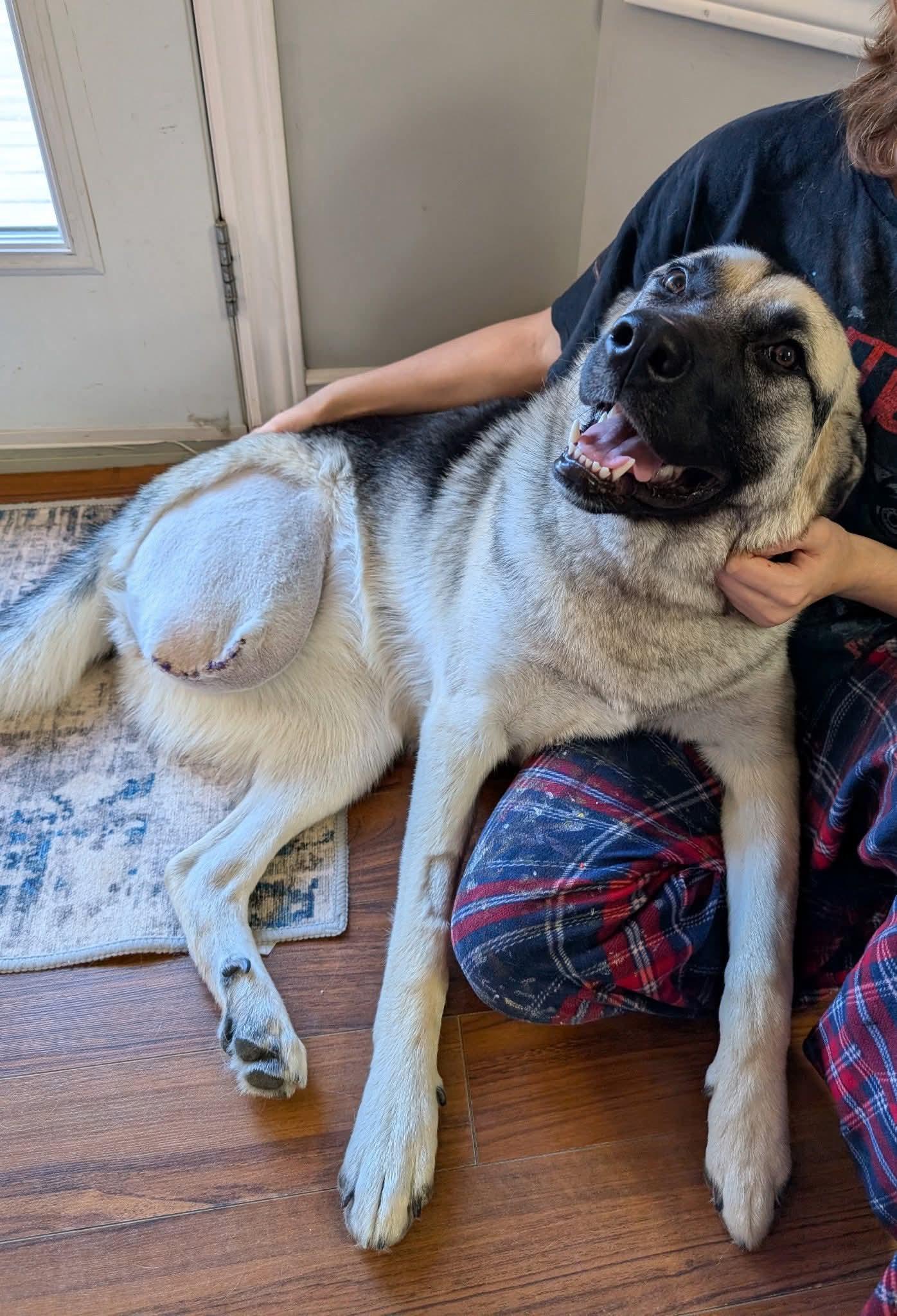 Karma — thumbnail 3