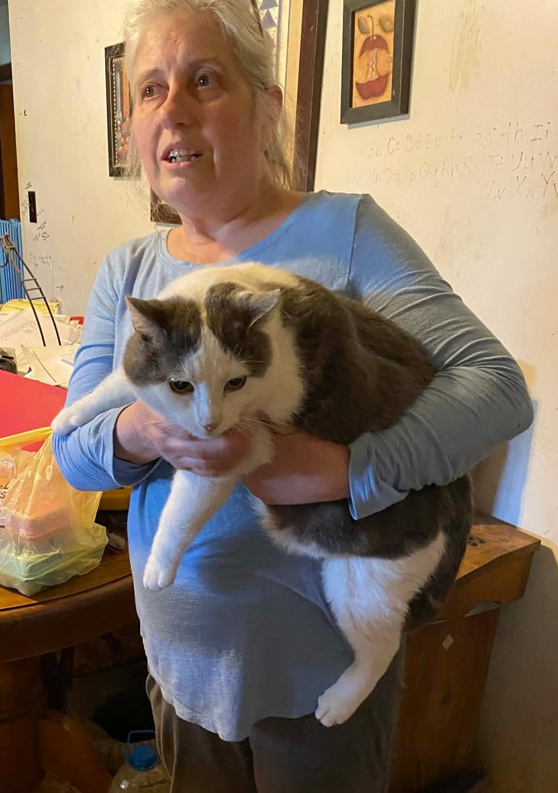 Enlarge Big Ed, a Adoptable mixed breed in Brownsville, PA image 3/5