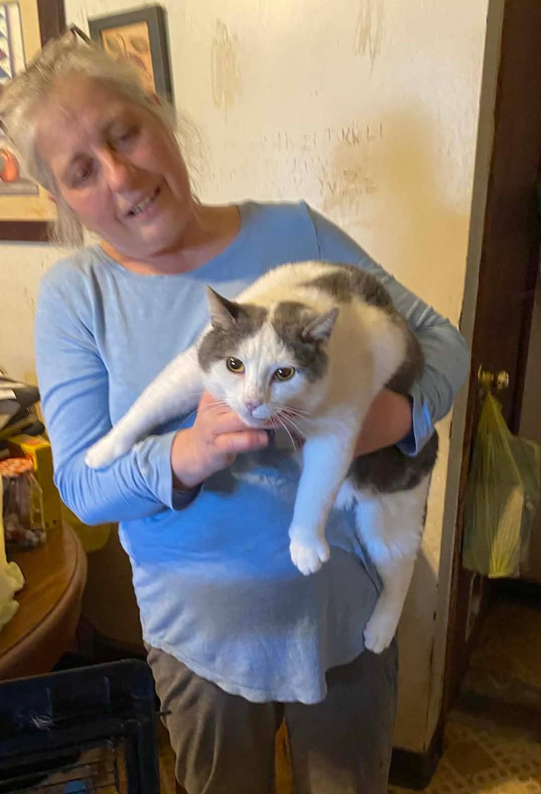 Enlarge Big Ed, a Adoptable mixed breed in Brownsville, PA image 4/5