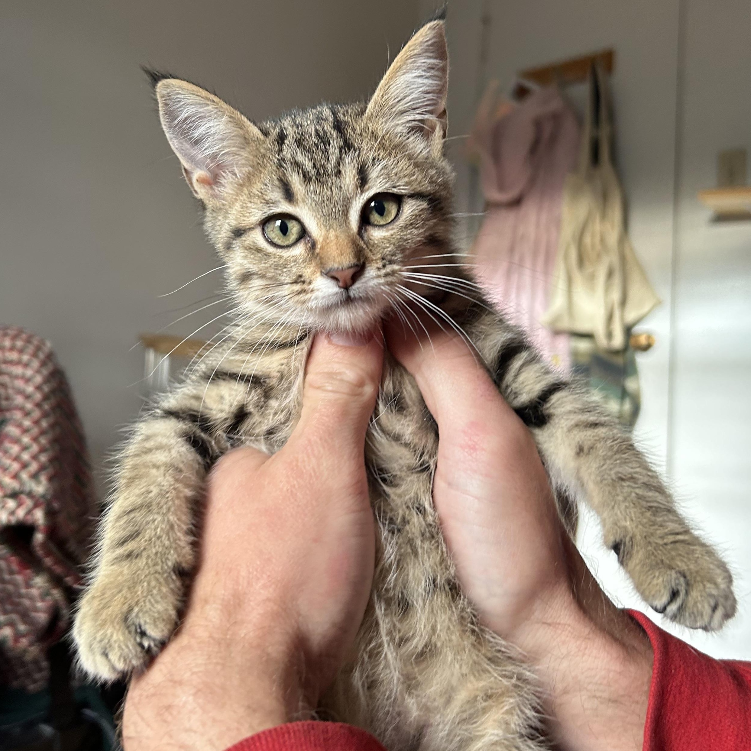 Jamie Lindberg-McMahon