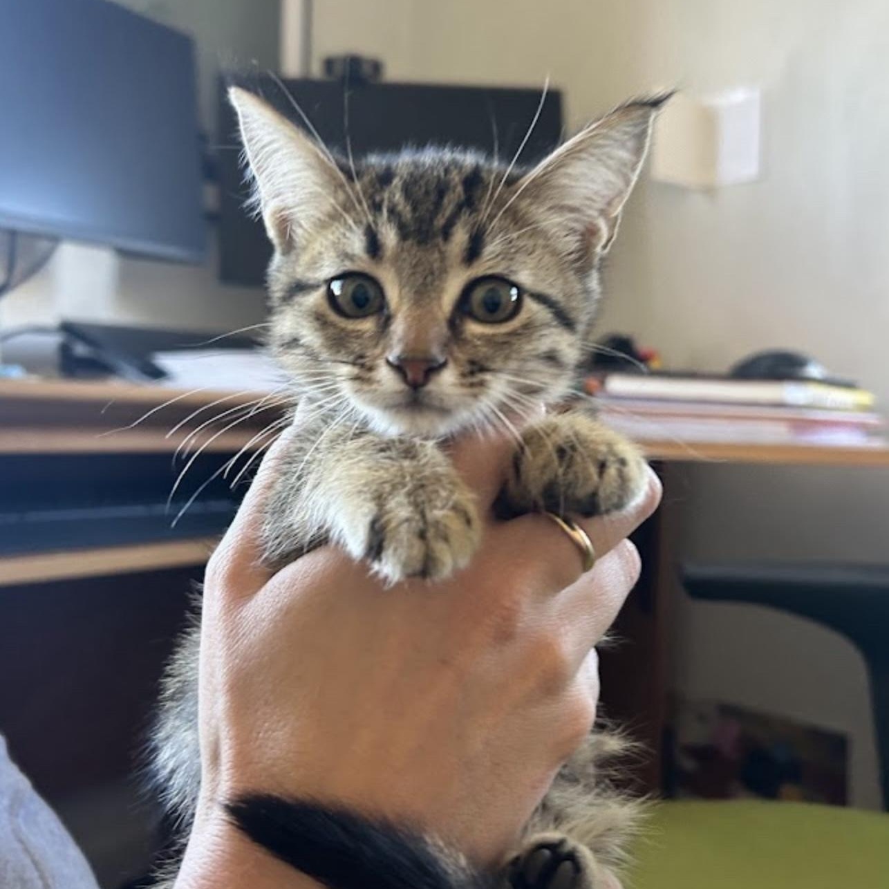 Jamie Lindbergmcmahon thumbnail 2