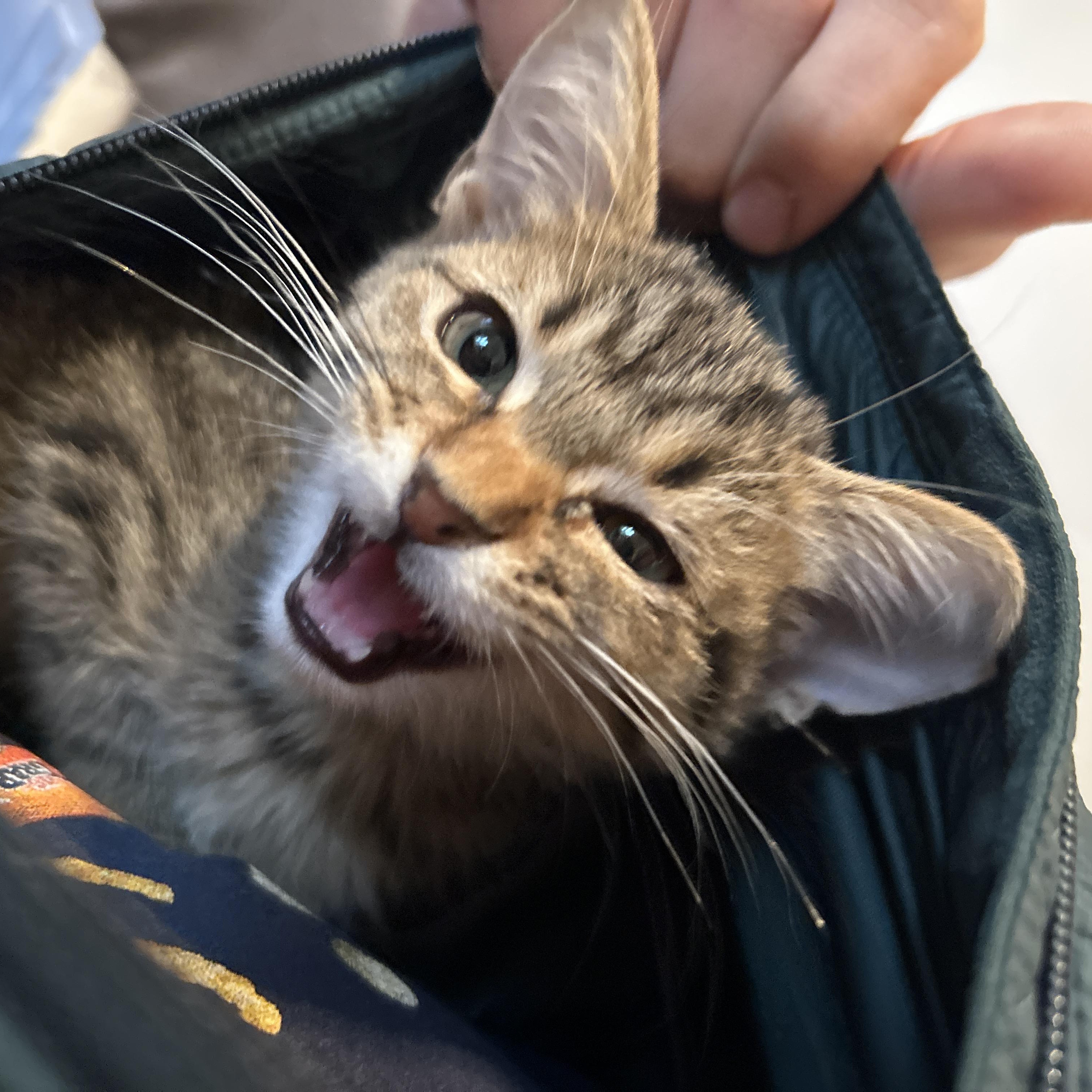 Jamie Lindbergmcmahon thumbnail 4