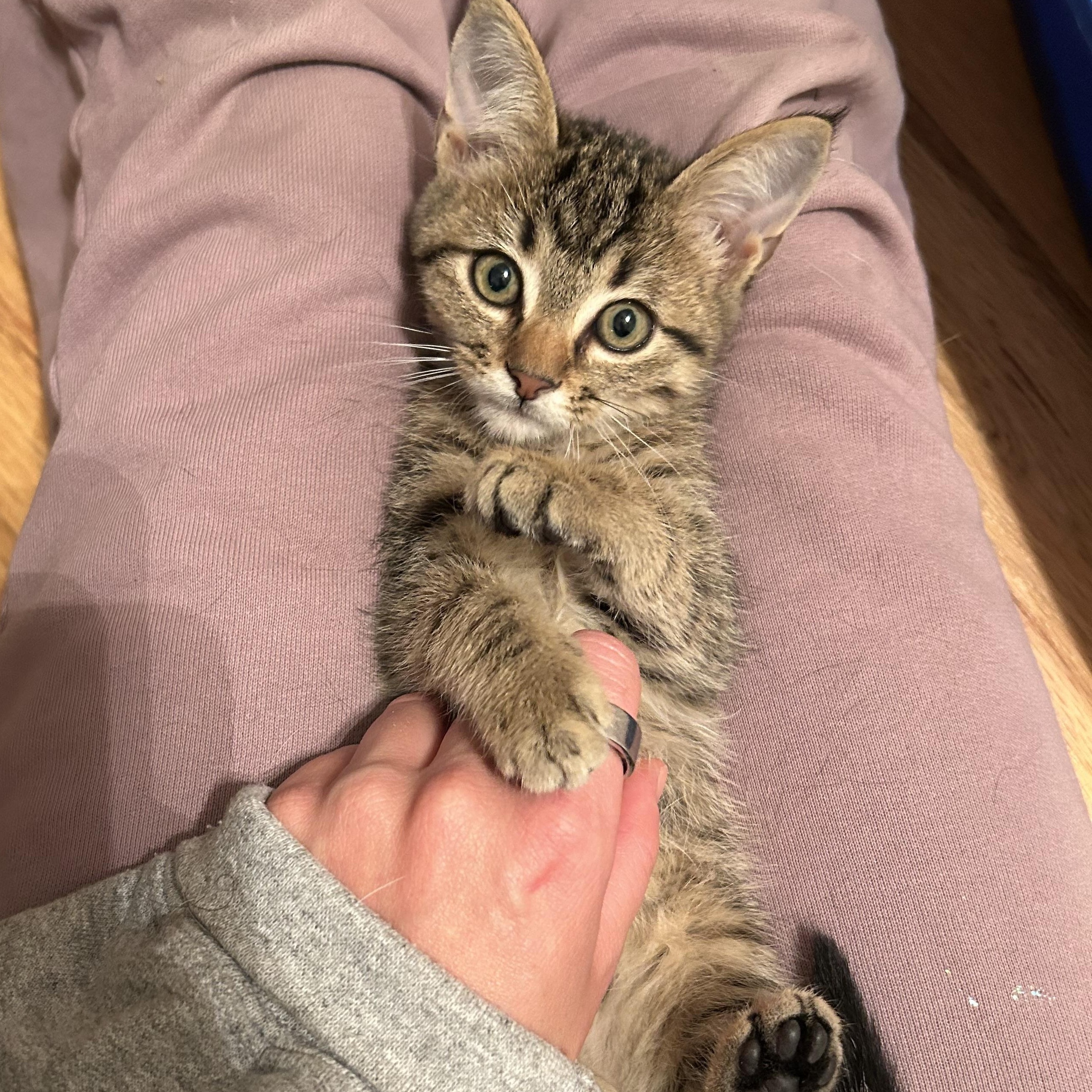 Jamie Lindbergmcmahon thumbnail 3