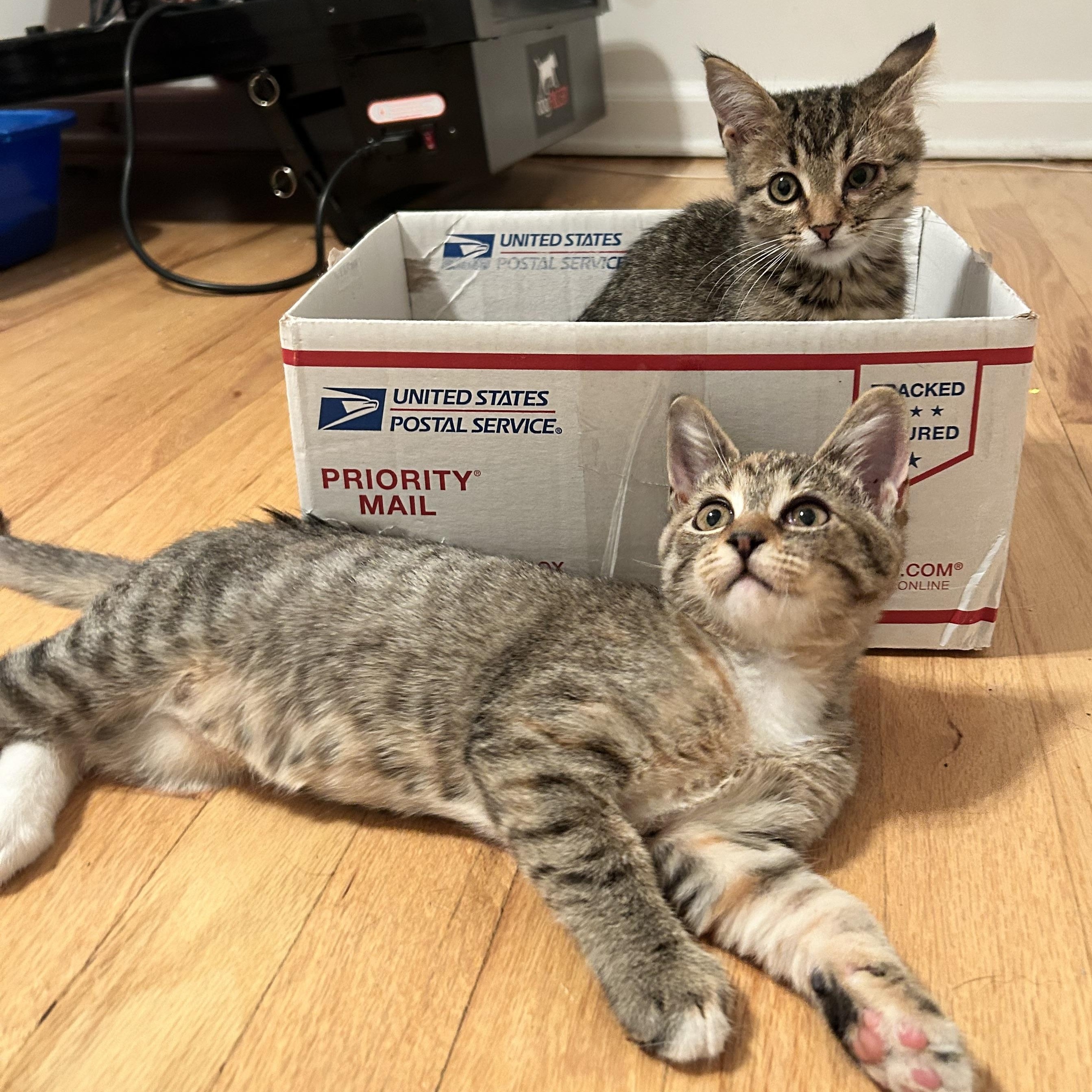 Jamie Lindbergmcmahon thumbnail 5