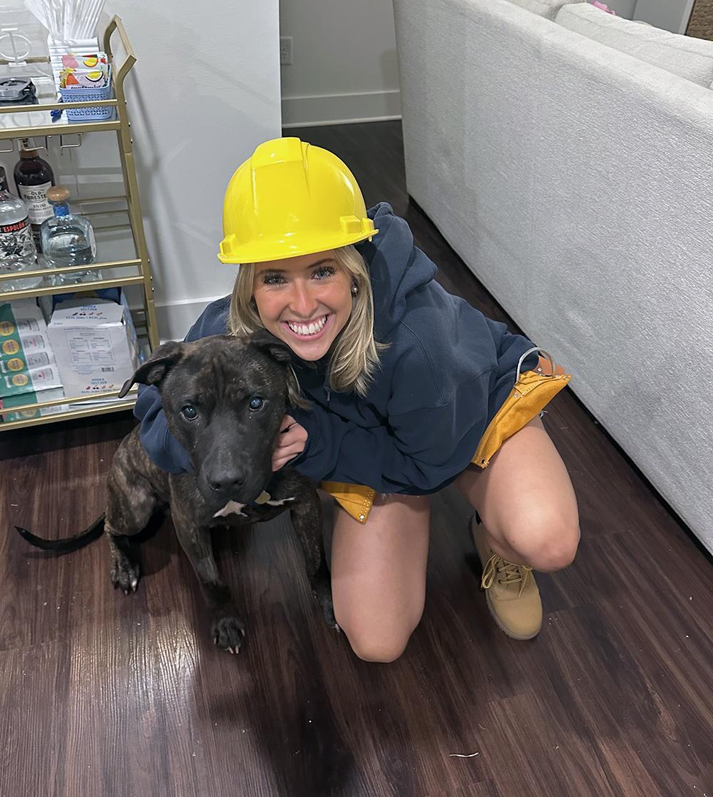 Enlarge Niko, a ADOPTABLE mixed breed in Marietta, GA image 1/4