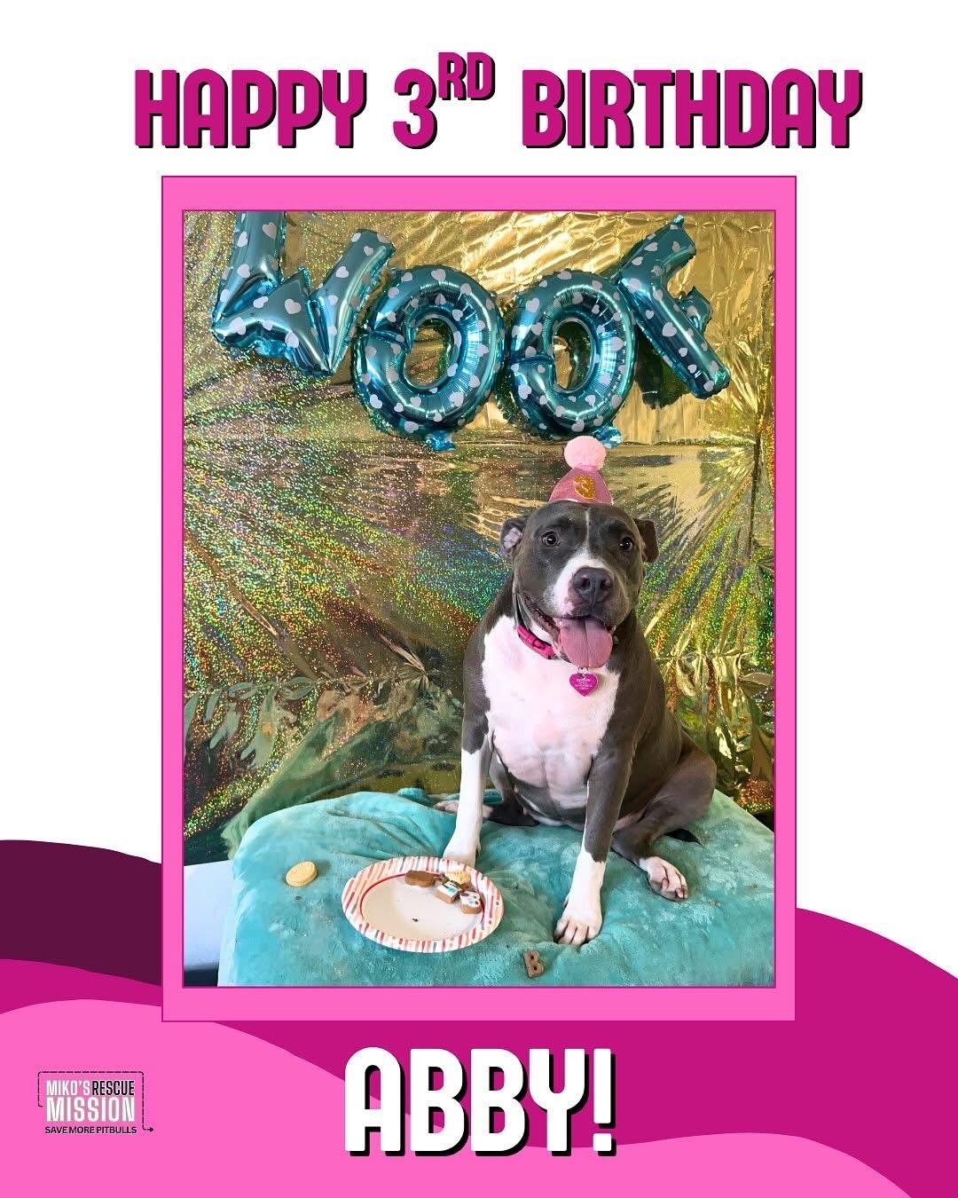 Enlarge Abby, a ADOPTABLE mixed breed in Rancho Palos Verdes, CA image 1/3