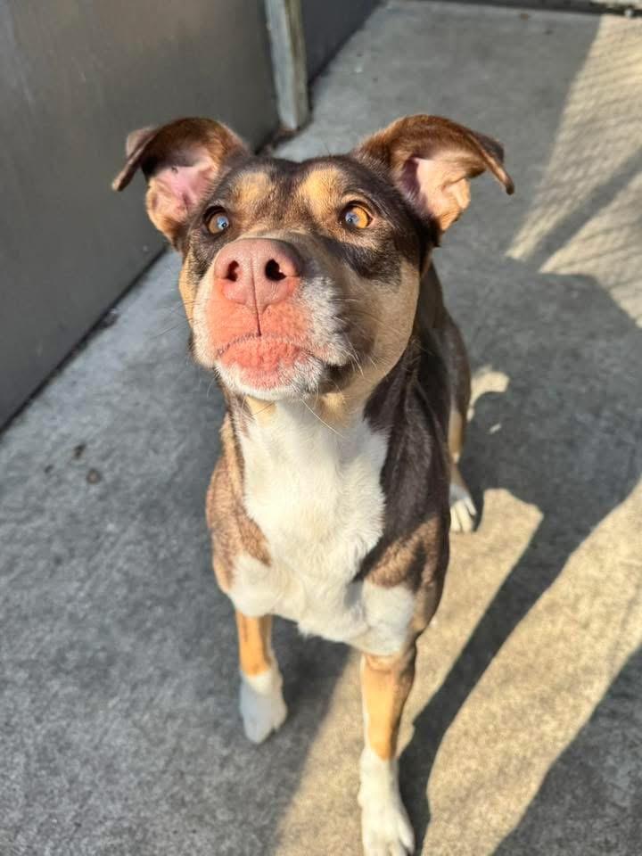 Rena — thumbnail 3