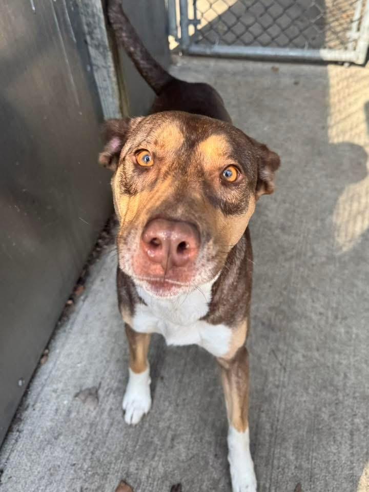 Rena — thumbnail 4