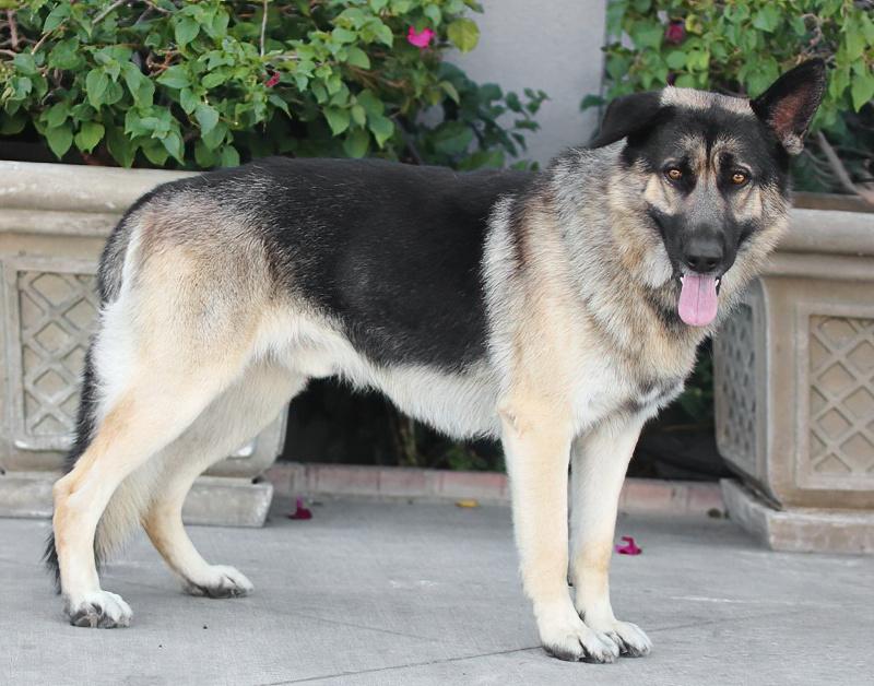 Jessie Von Hartha thumbnail 6