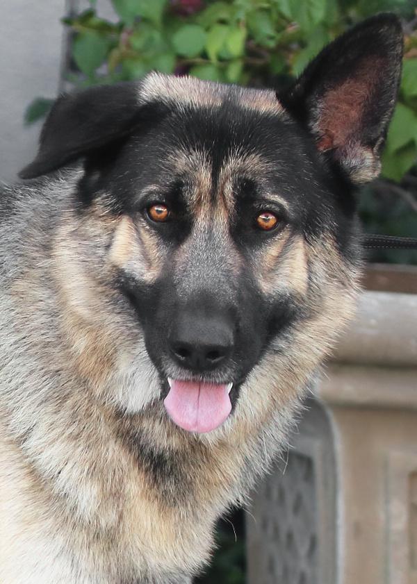 Jessie Von Hartha thumbnail 4