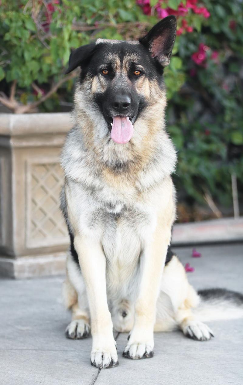 Jessie Von Hartha thumbnail 5