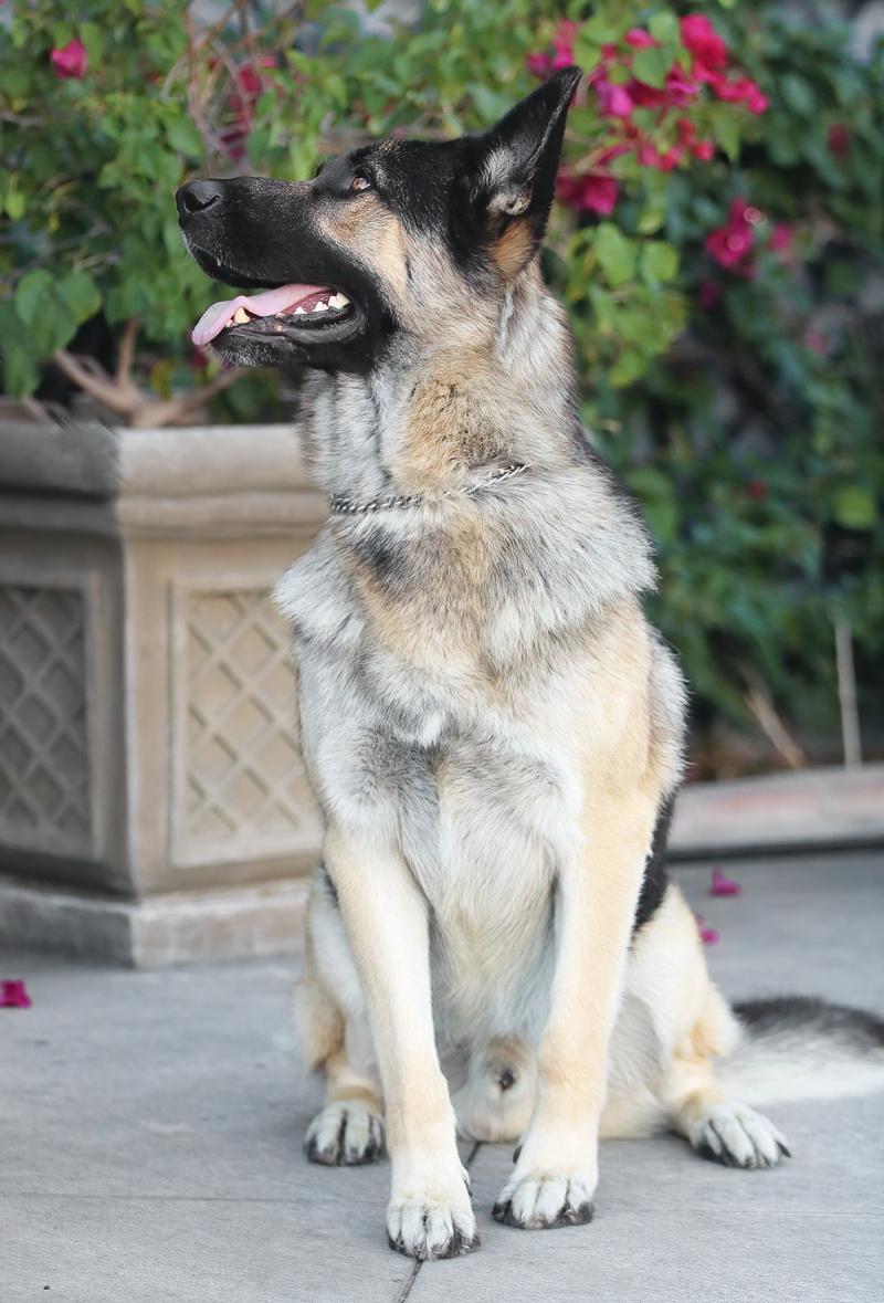 Jessie Von Hartha thumbnail 2