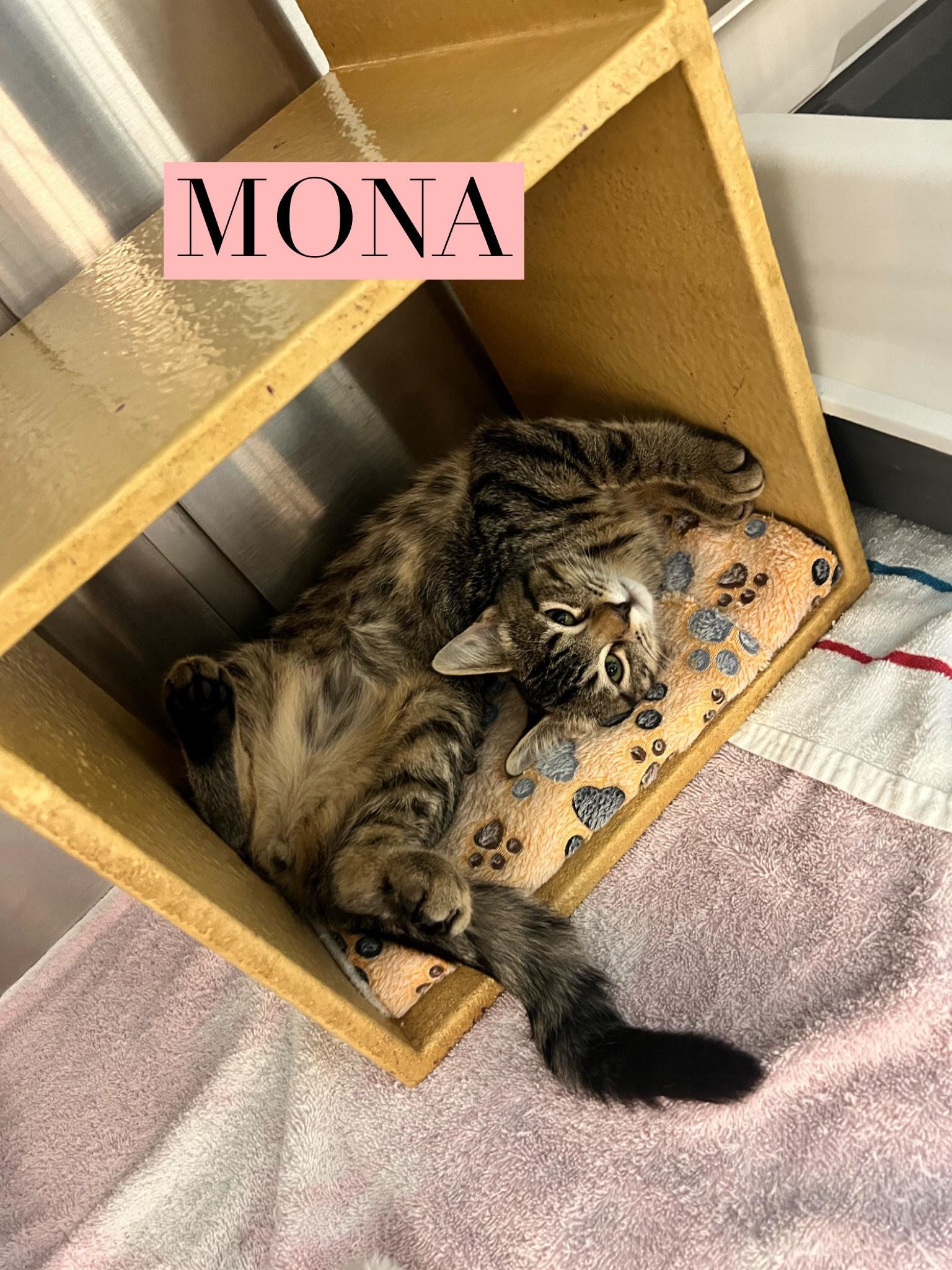 Mona
