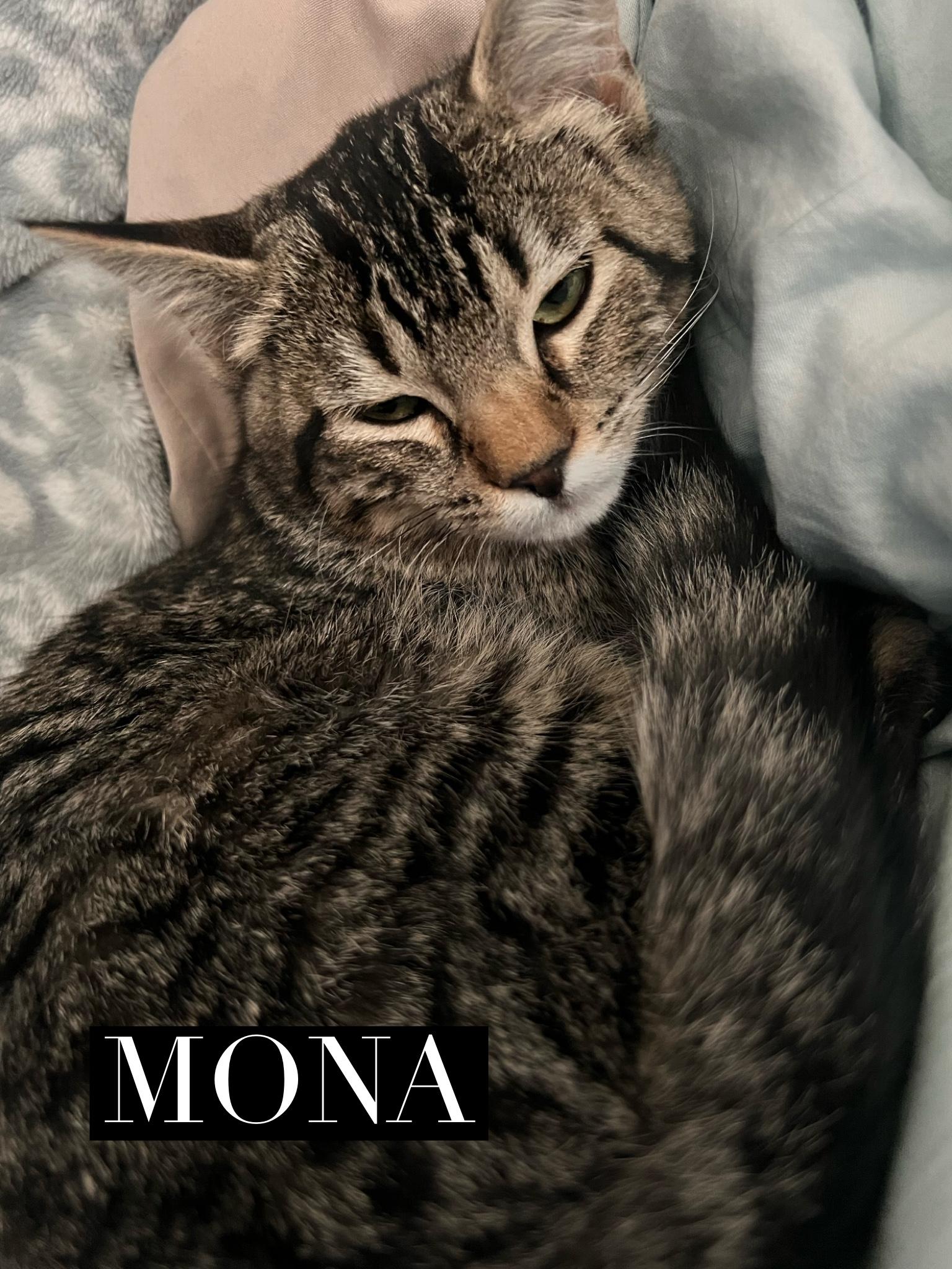 Mona
