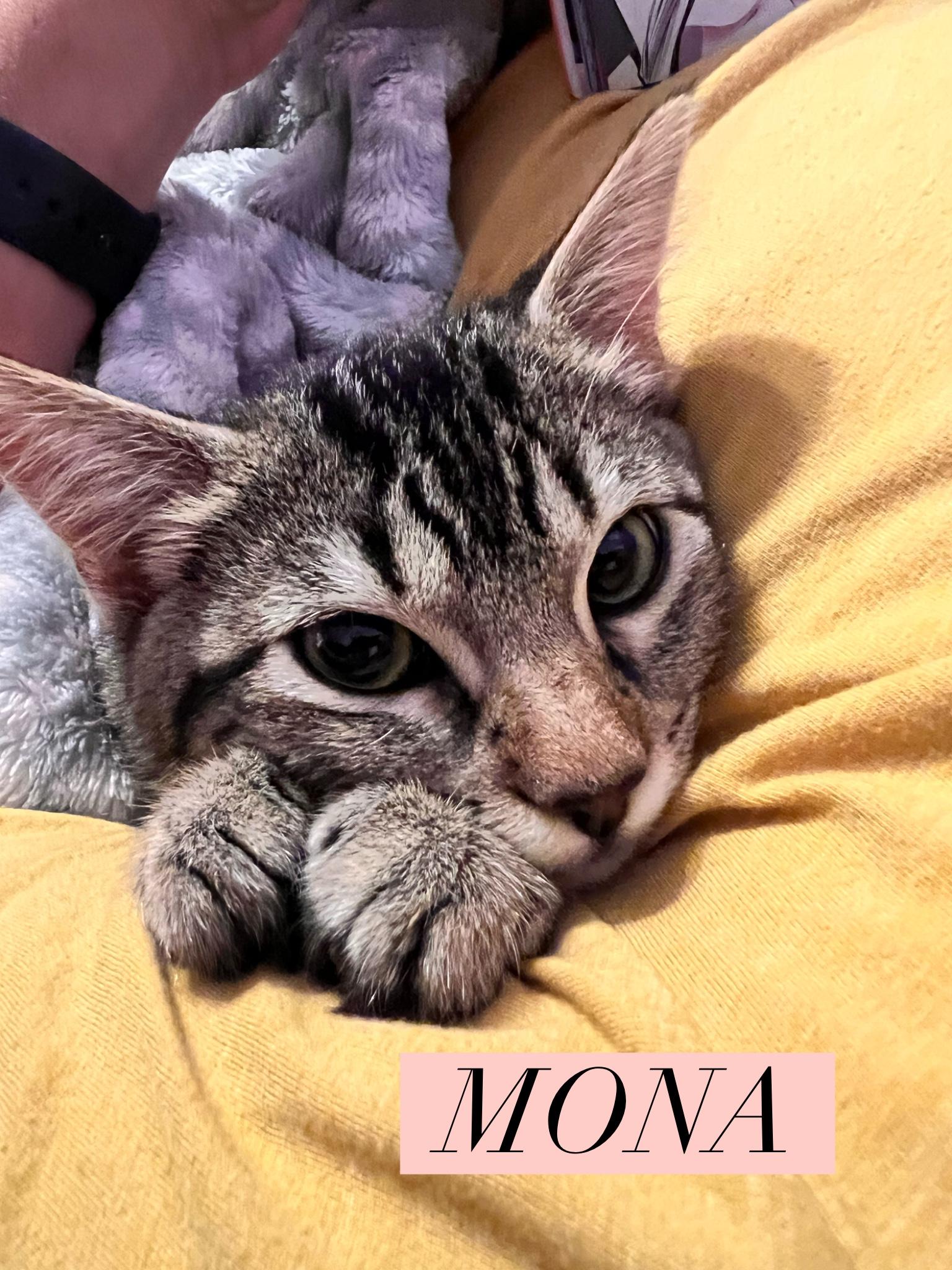 Mona