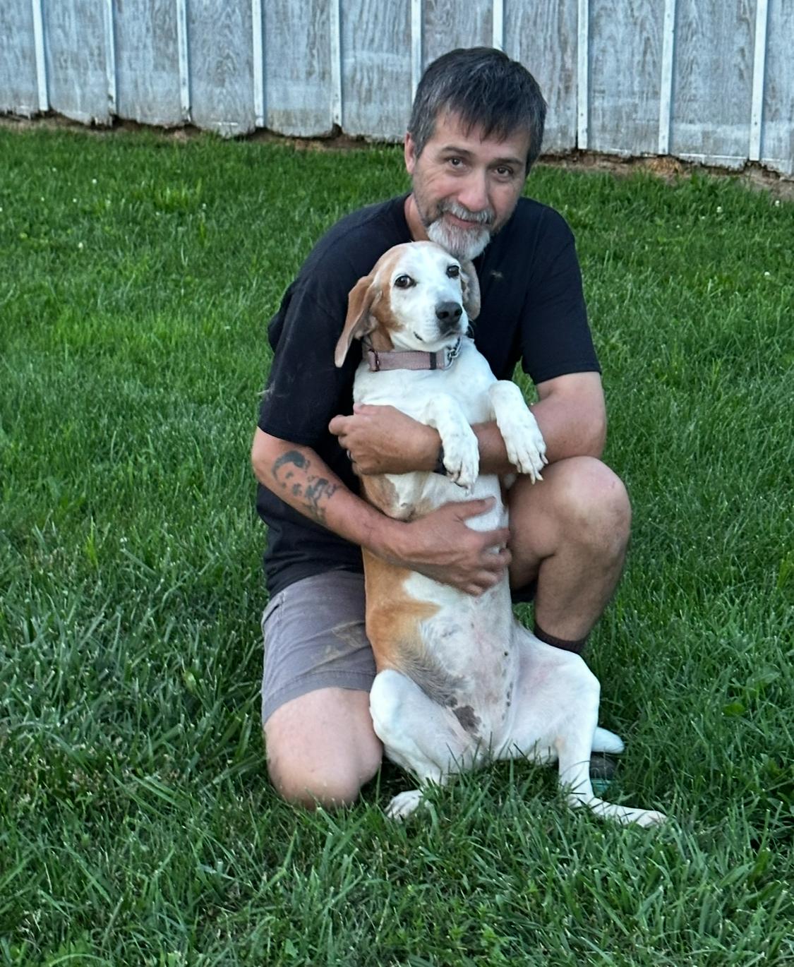 Enlarge Honey , a ADOPTABLE mixed breed in Greenfield, OH image 3/6