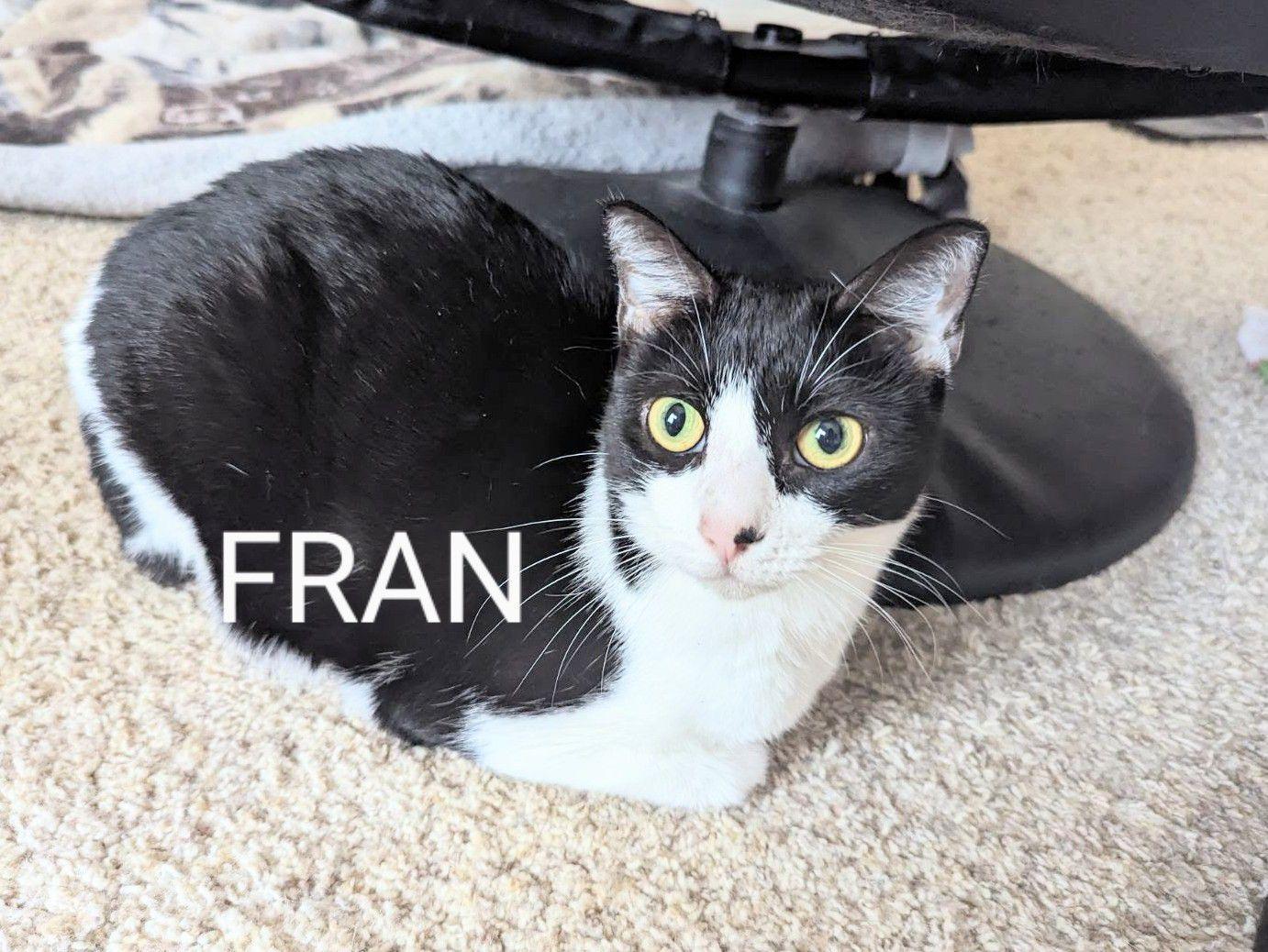 Nan