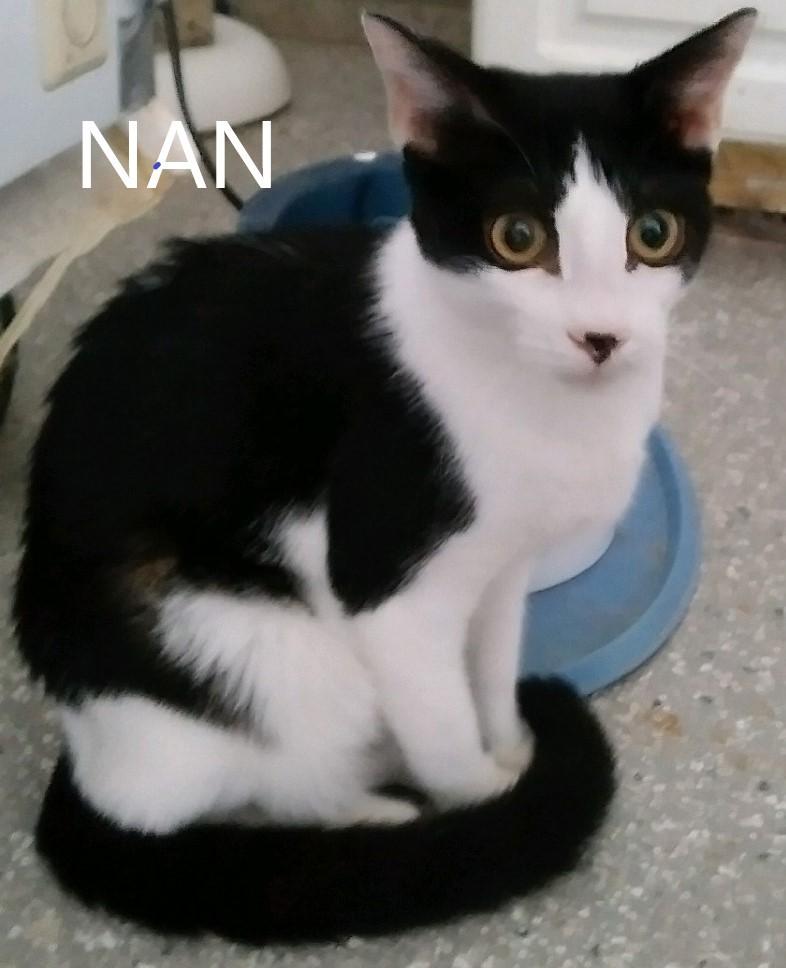 Nan
