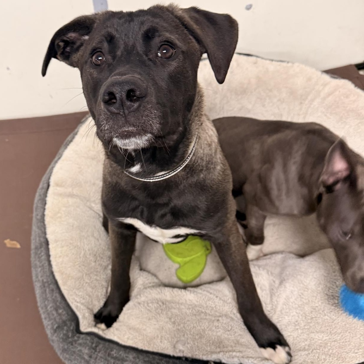 Vecna — thumbnail 2