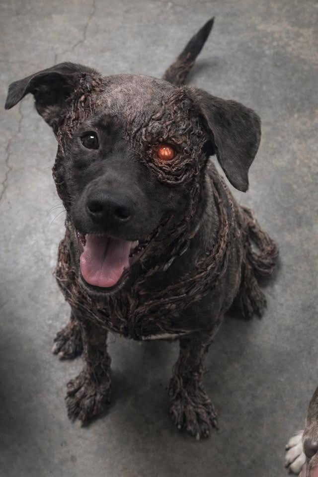 Vecna — thumbnail 3