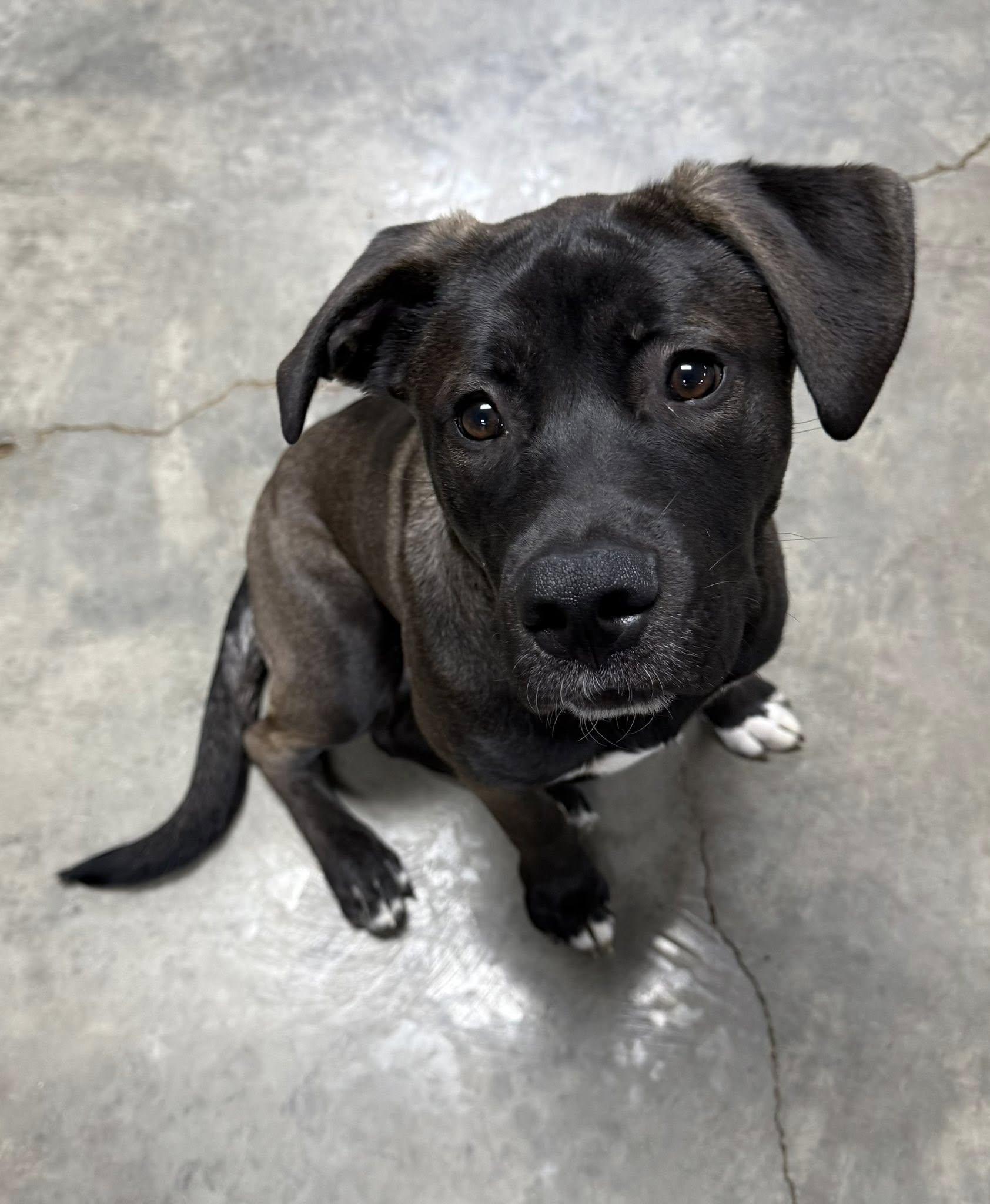 Vecna — thumbnail 4