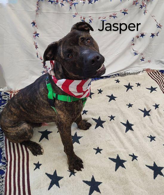 Jasper