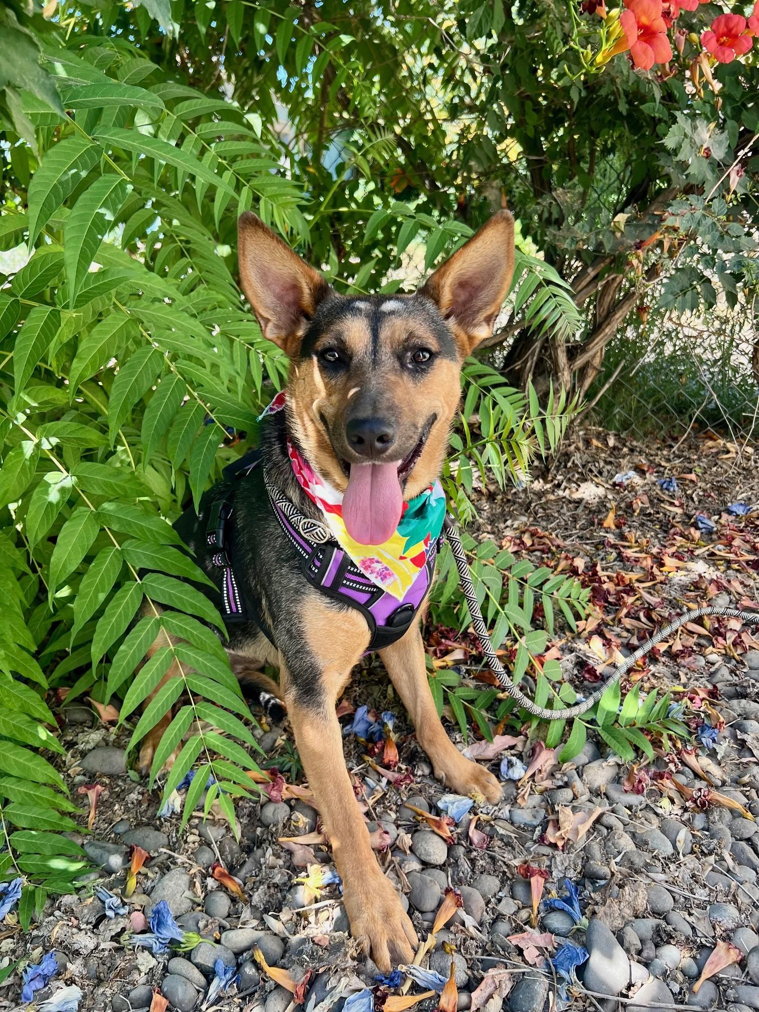Esther