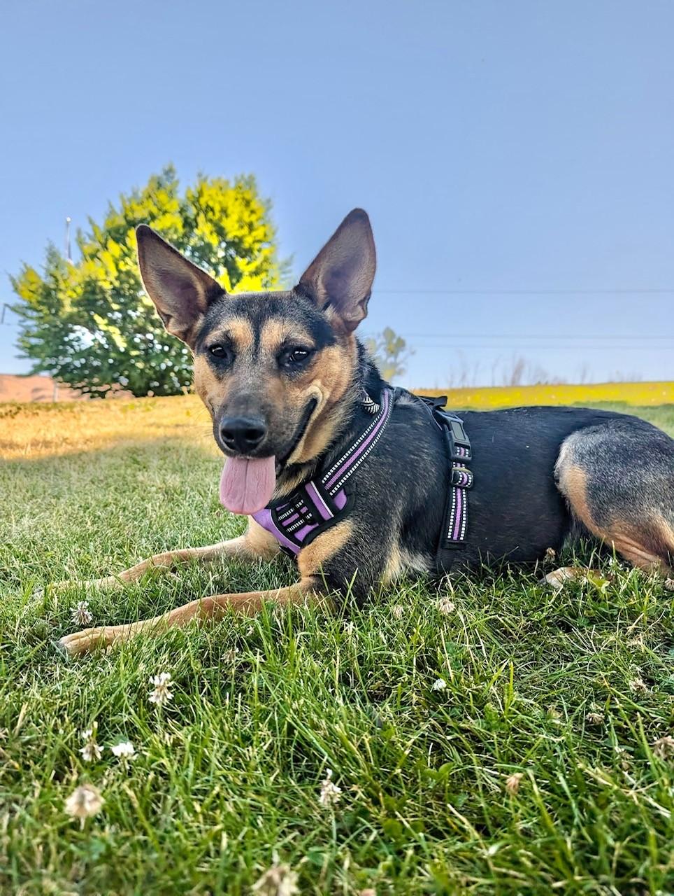 Esther