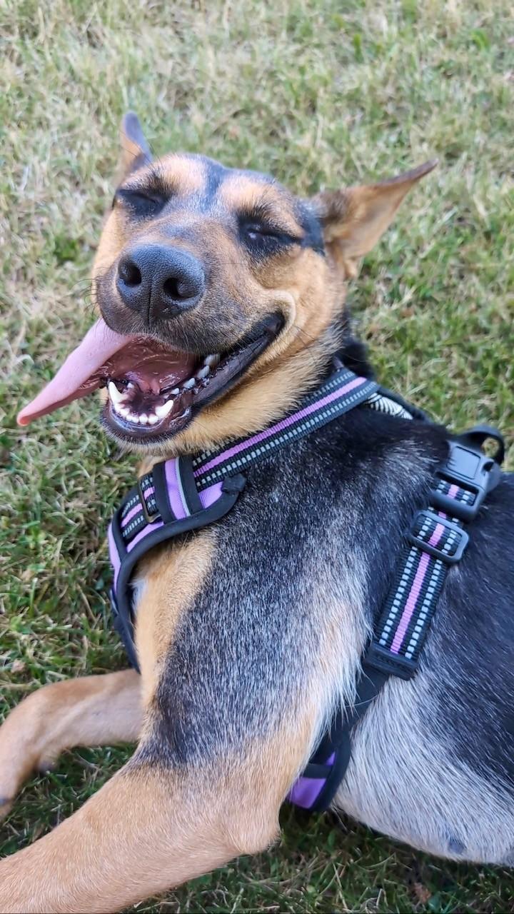 Esther