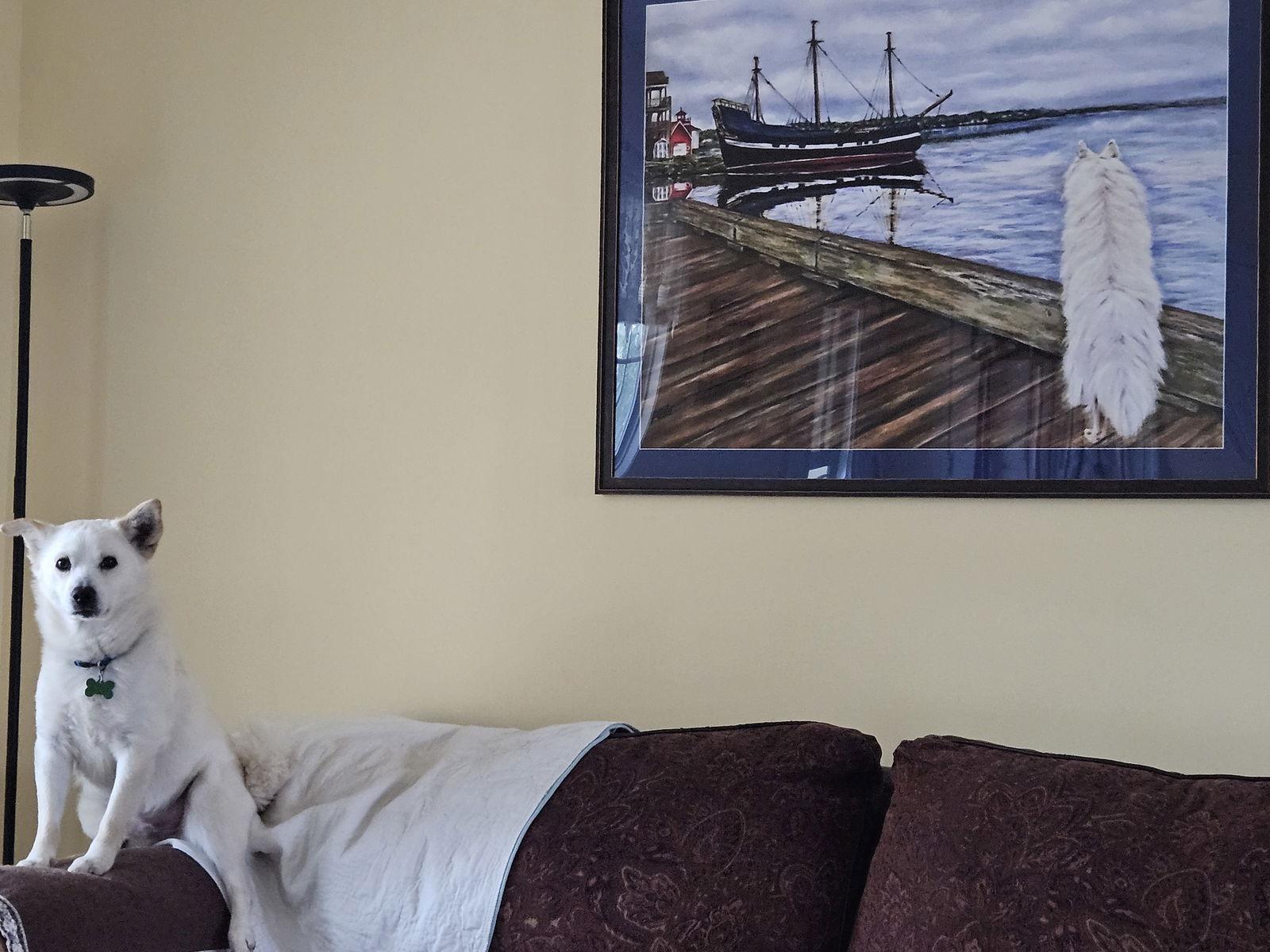 Buckley Of Md thumbnail 3