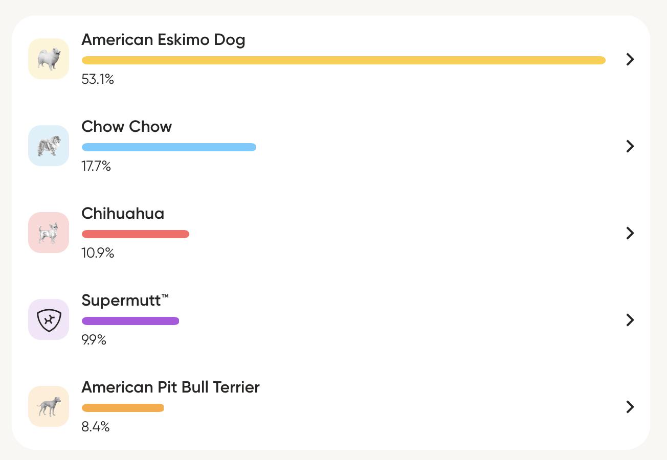 Enlarge Buckley of MD, a Adoptable mixed breed in Randallstown, MD image 3/3