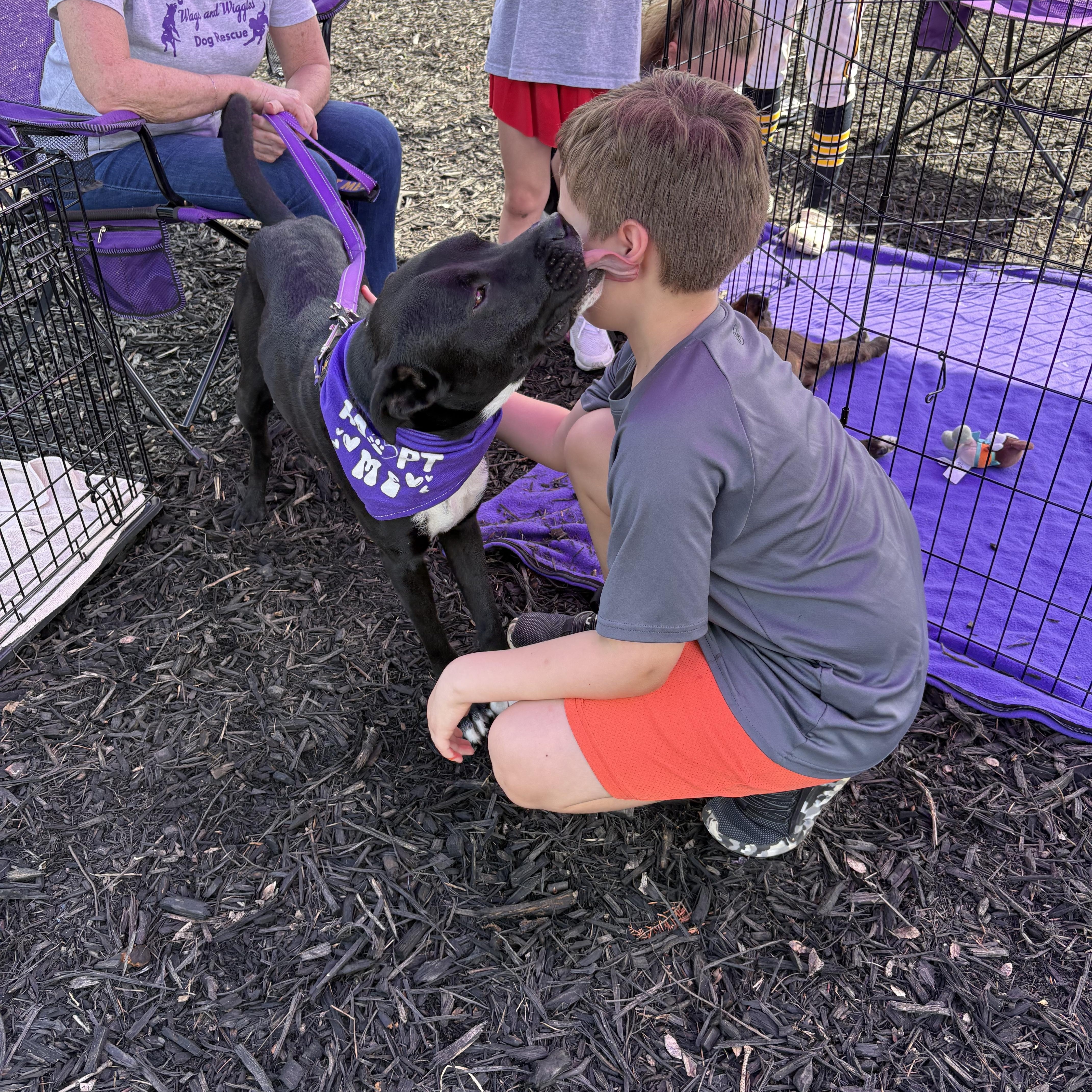 Enlarge Marley, a Adoptable mixed breed in Cumming, GA image 3/6