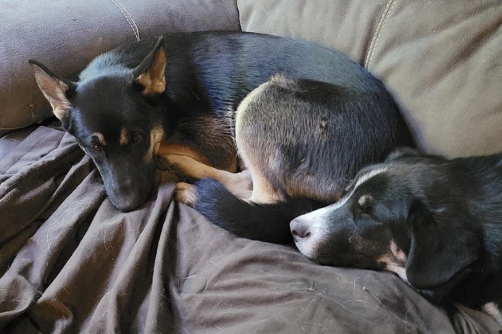 Bronagh — thumbnail 4