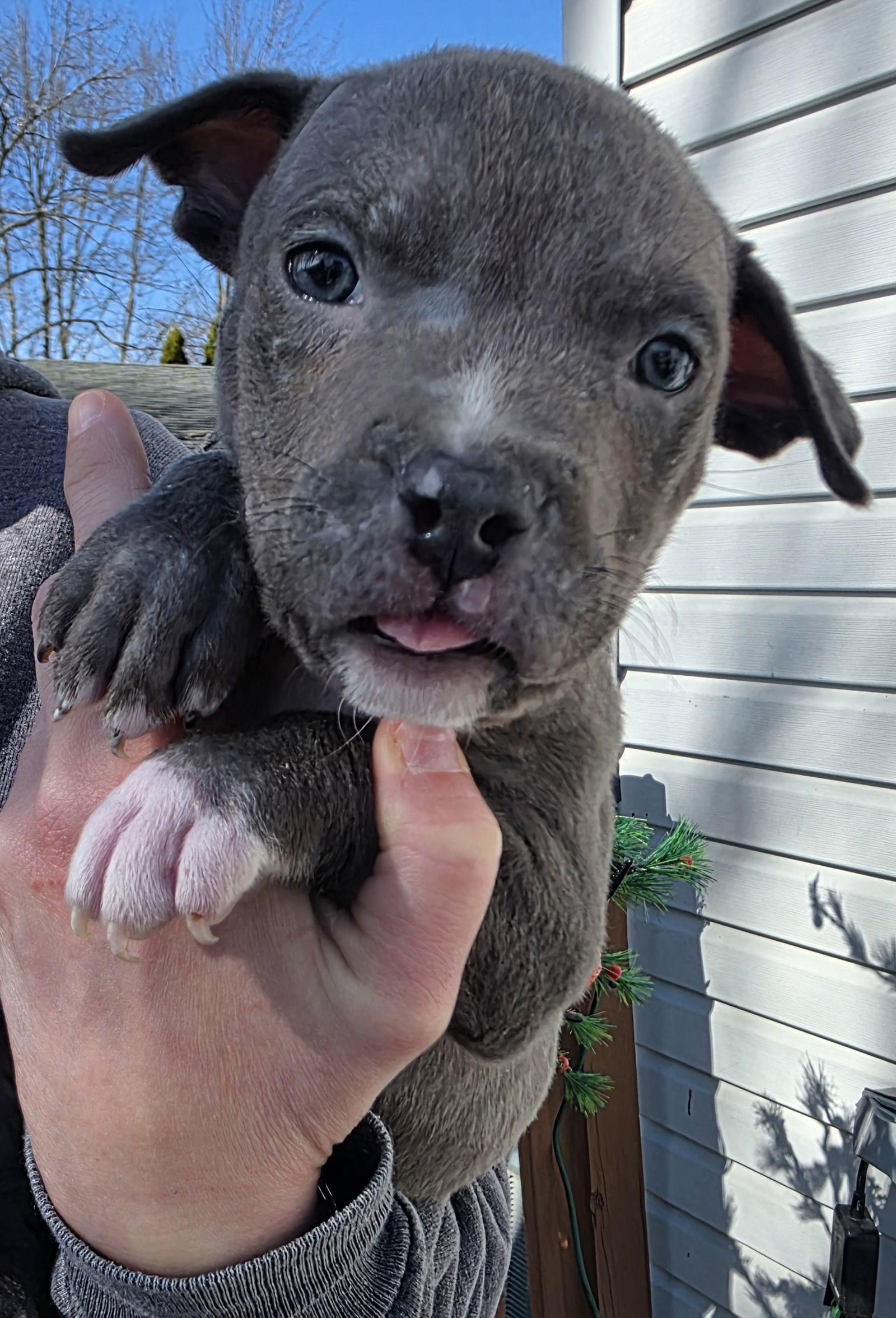 JQL Hughes — thumbnail 2