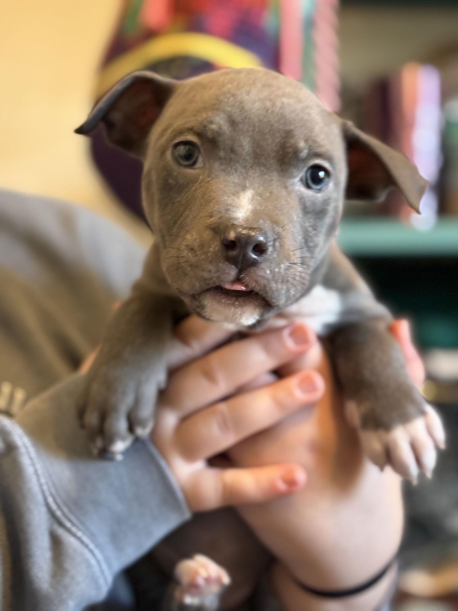 JQL Hughes — thumbnail 3