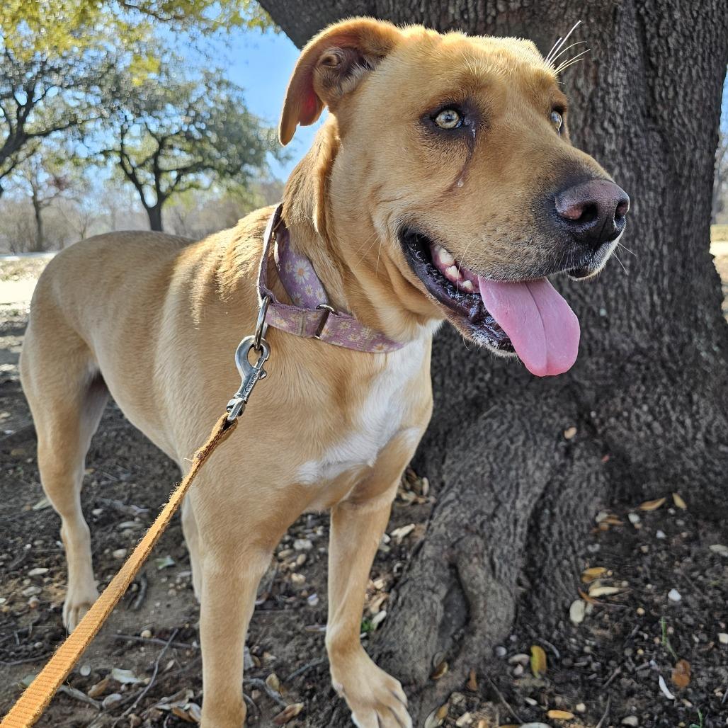 Maisy — thumbnail 3