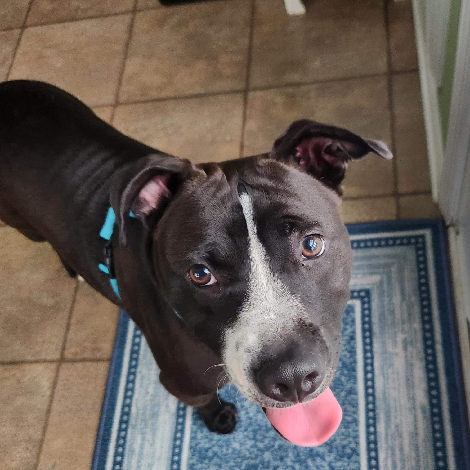 Aniela - in foster home