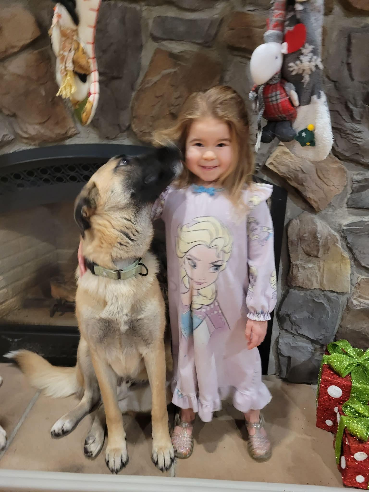 Enlarge Jered, a Adoptable mixed breed in Argyle, NY image 6/6